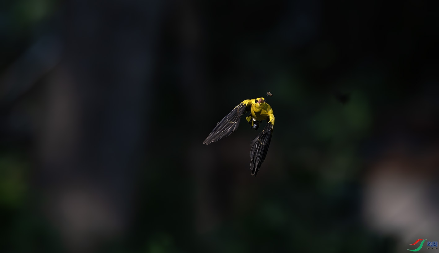 DSC_0296-����ǿ-NR ����.jpg