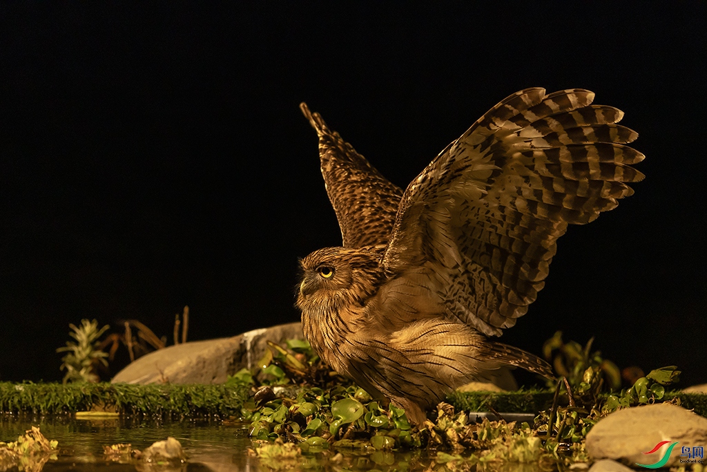 0F7A8854 ����.jpg