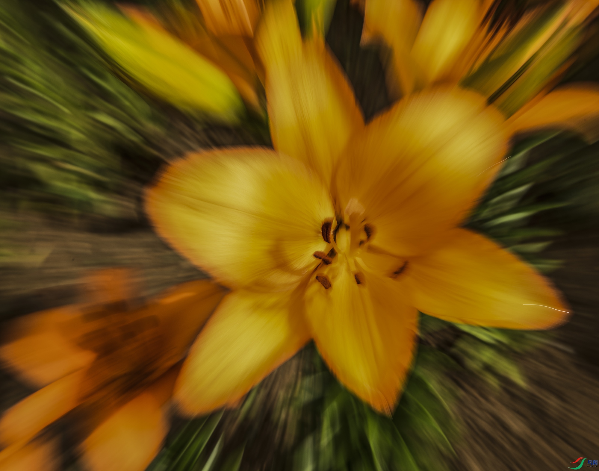 DSC_1443.jpg