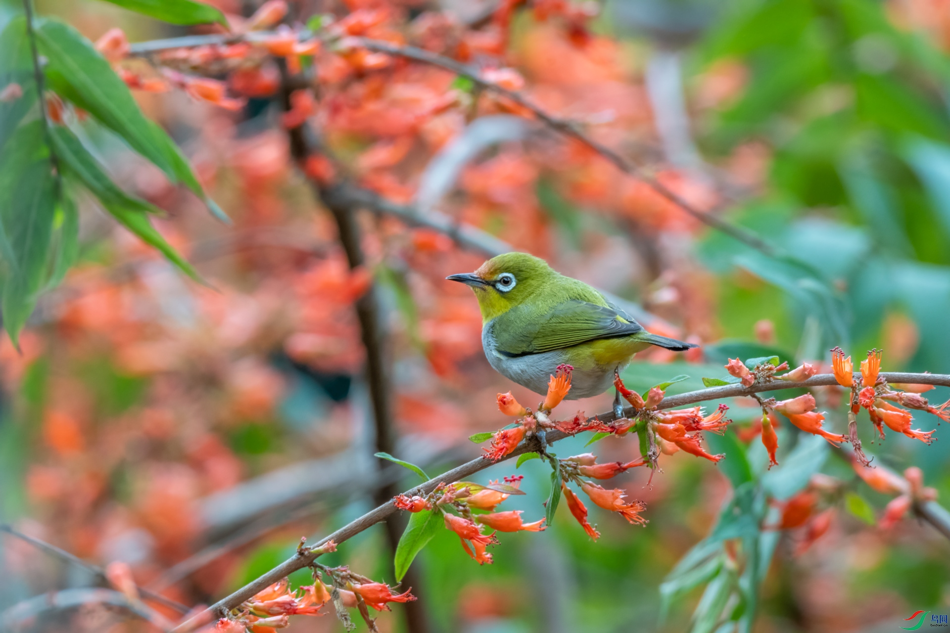 DSC_5525.jpg