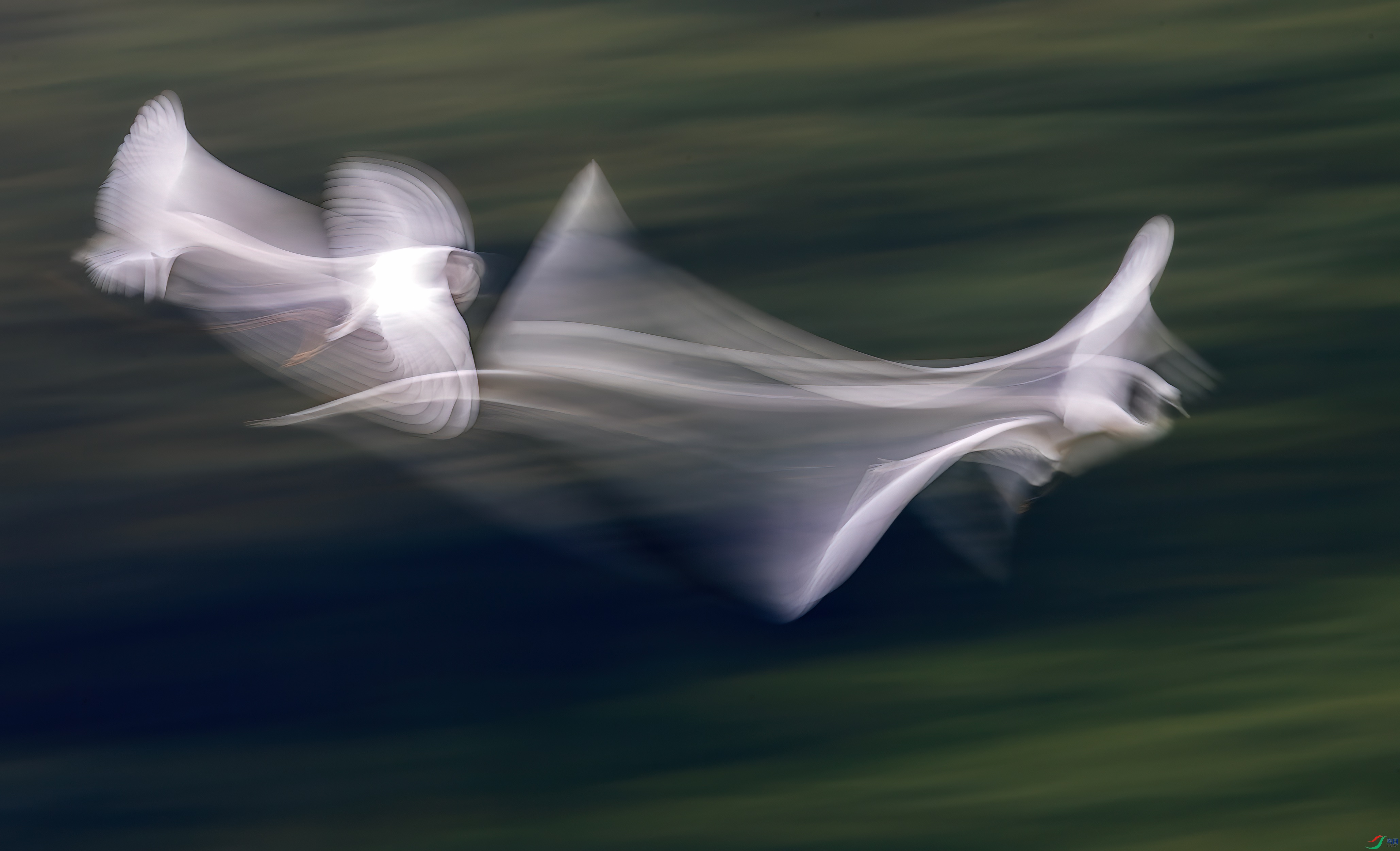DSC_4619.jpg