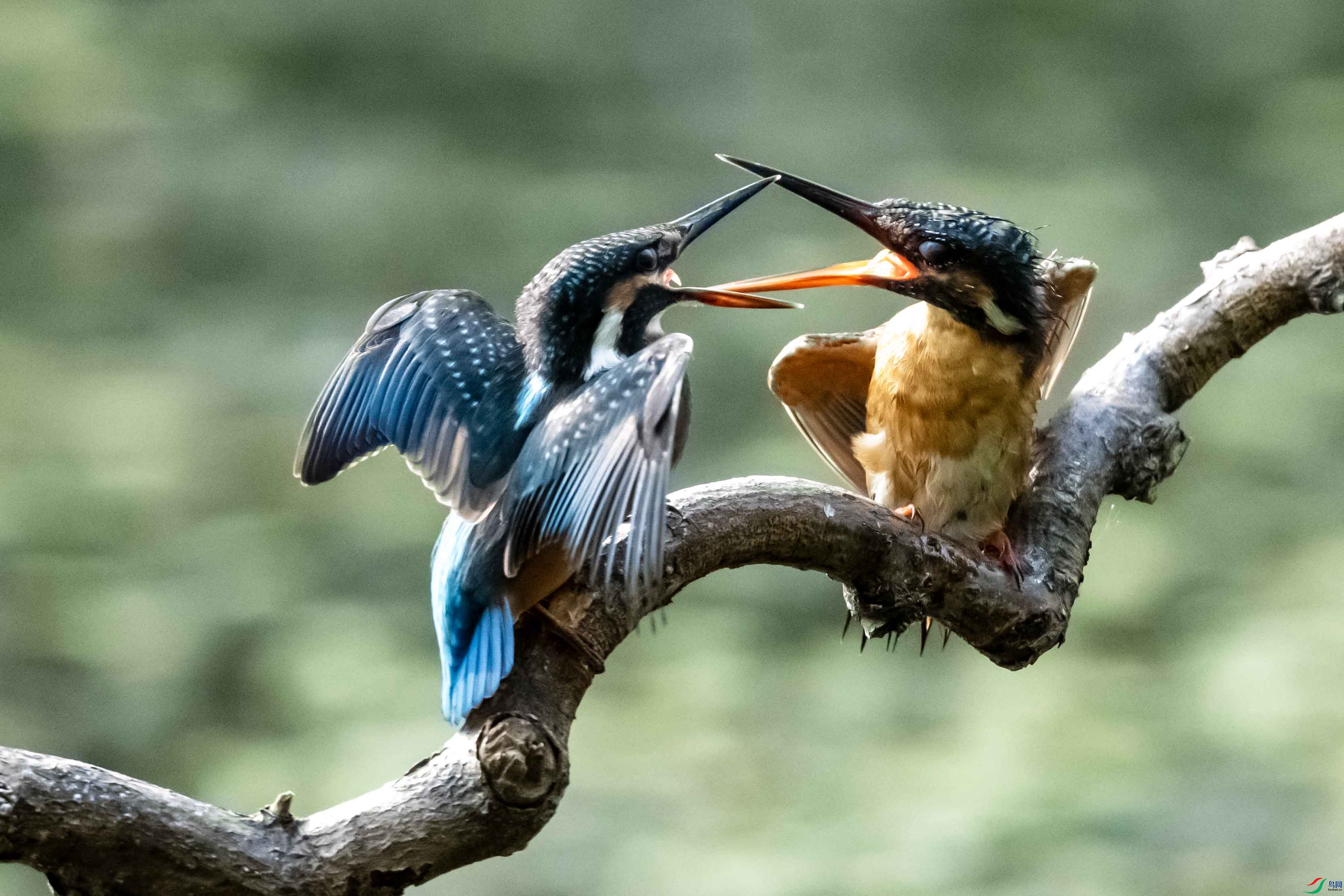 _LYF1395 ����.jpg