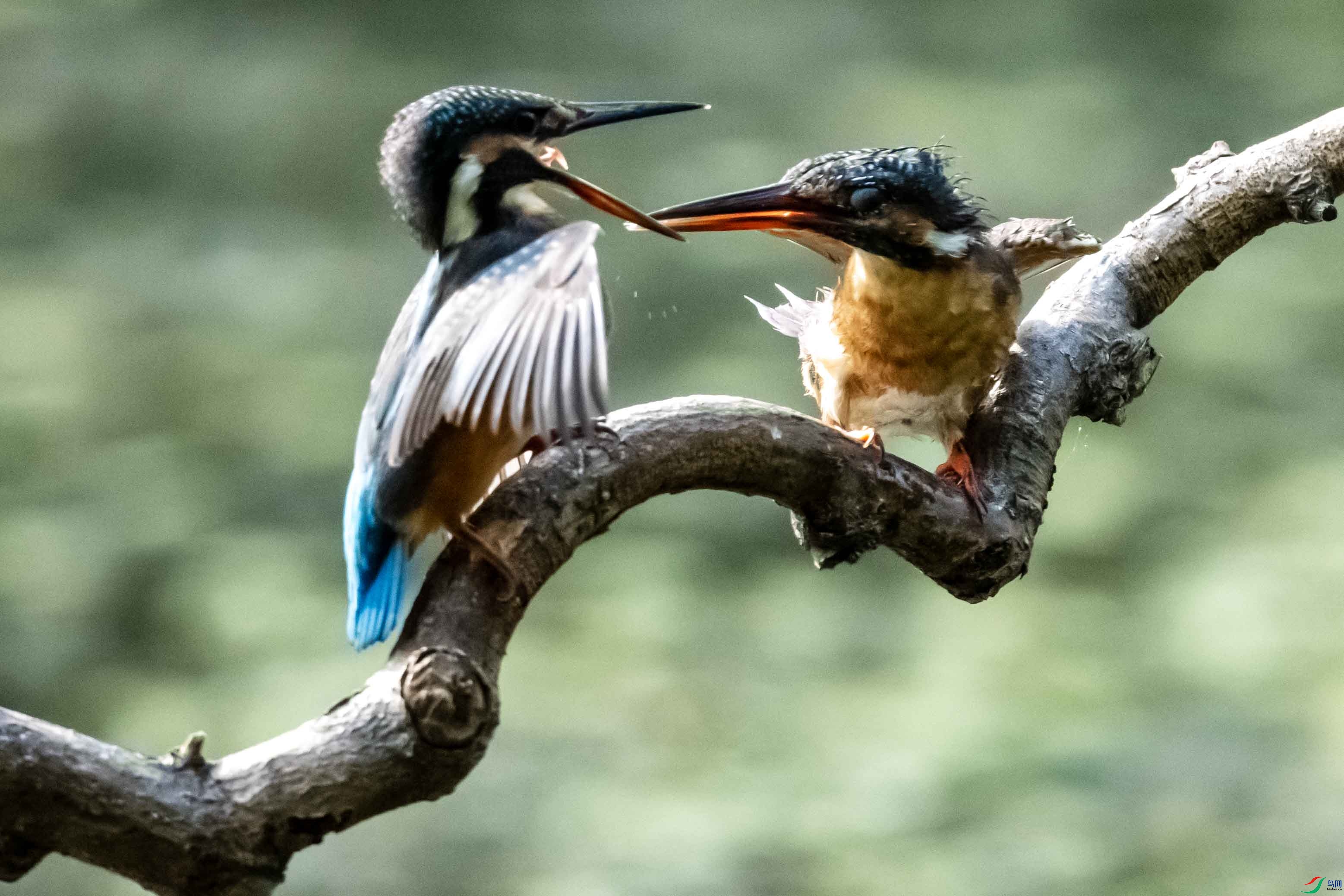 _LYF1397 ����.jpg