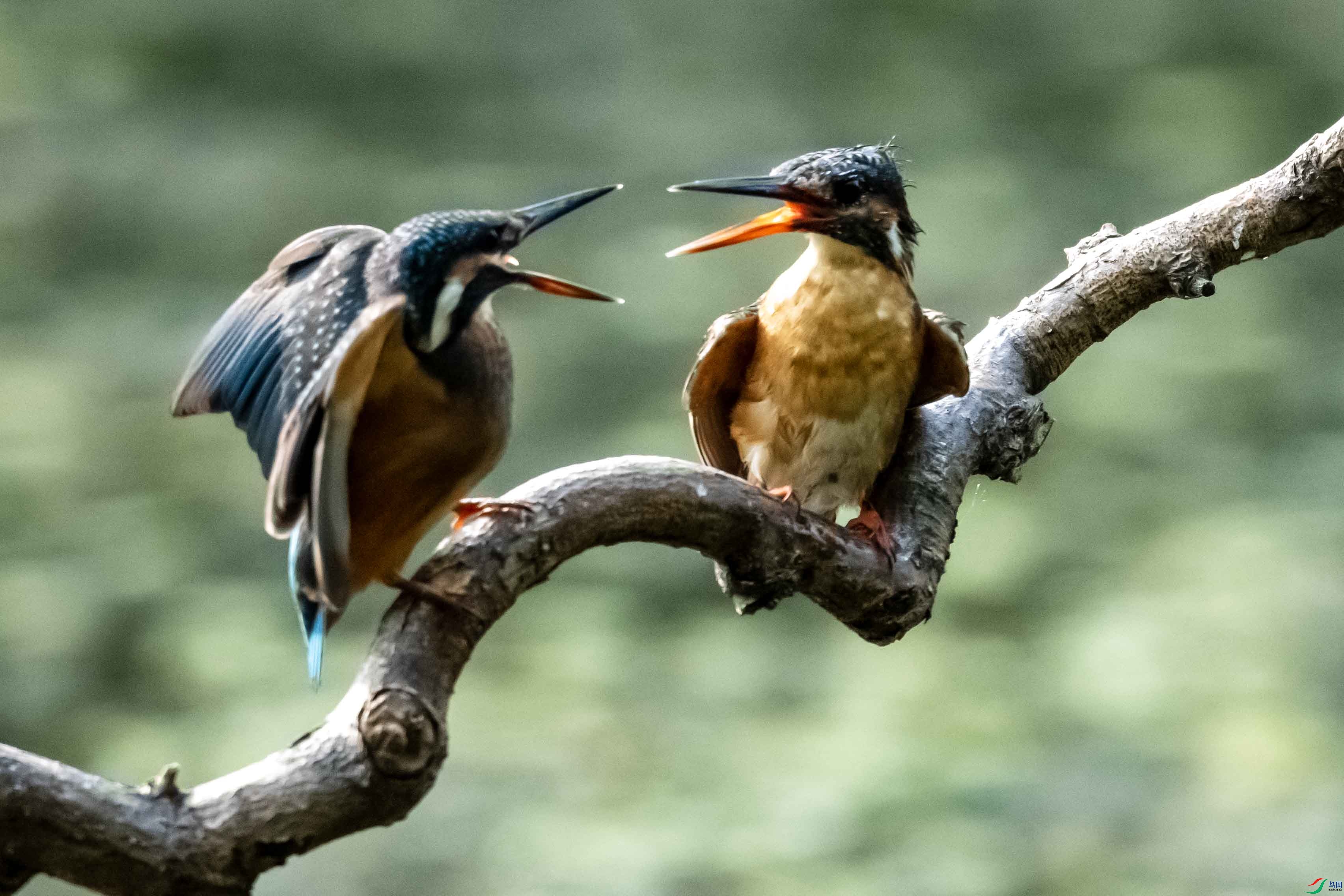 _LYF1401 ����.jpg