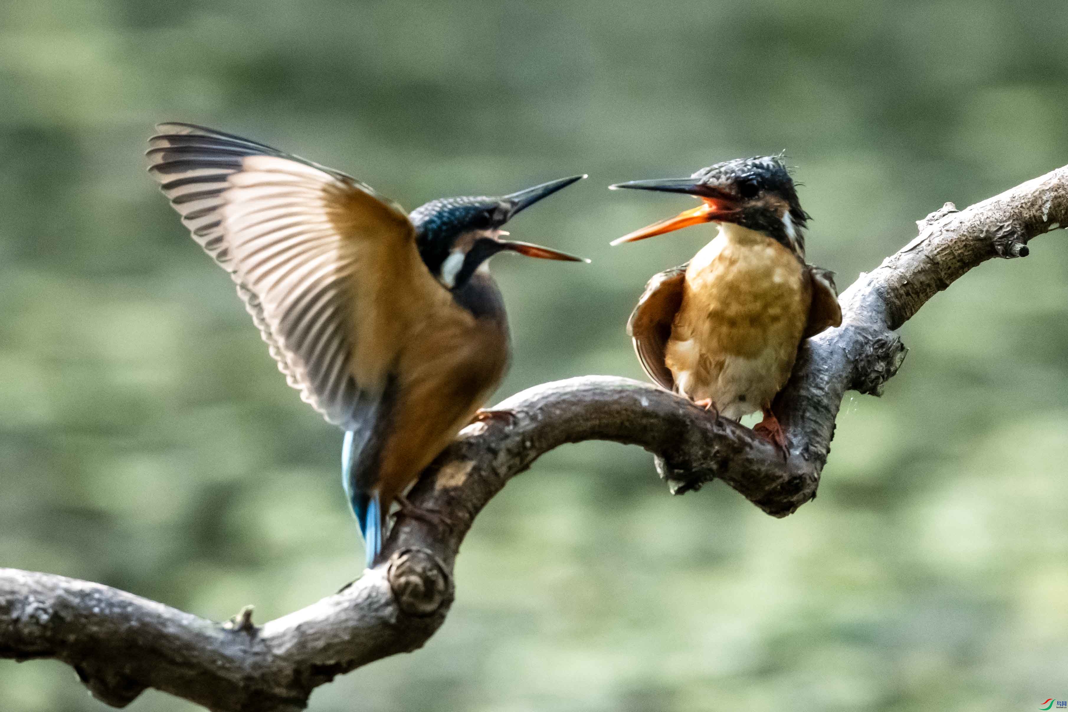 _LYF1405 ����.jpg