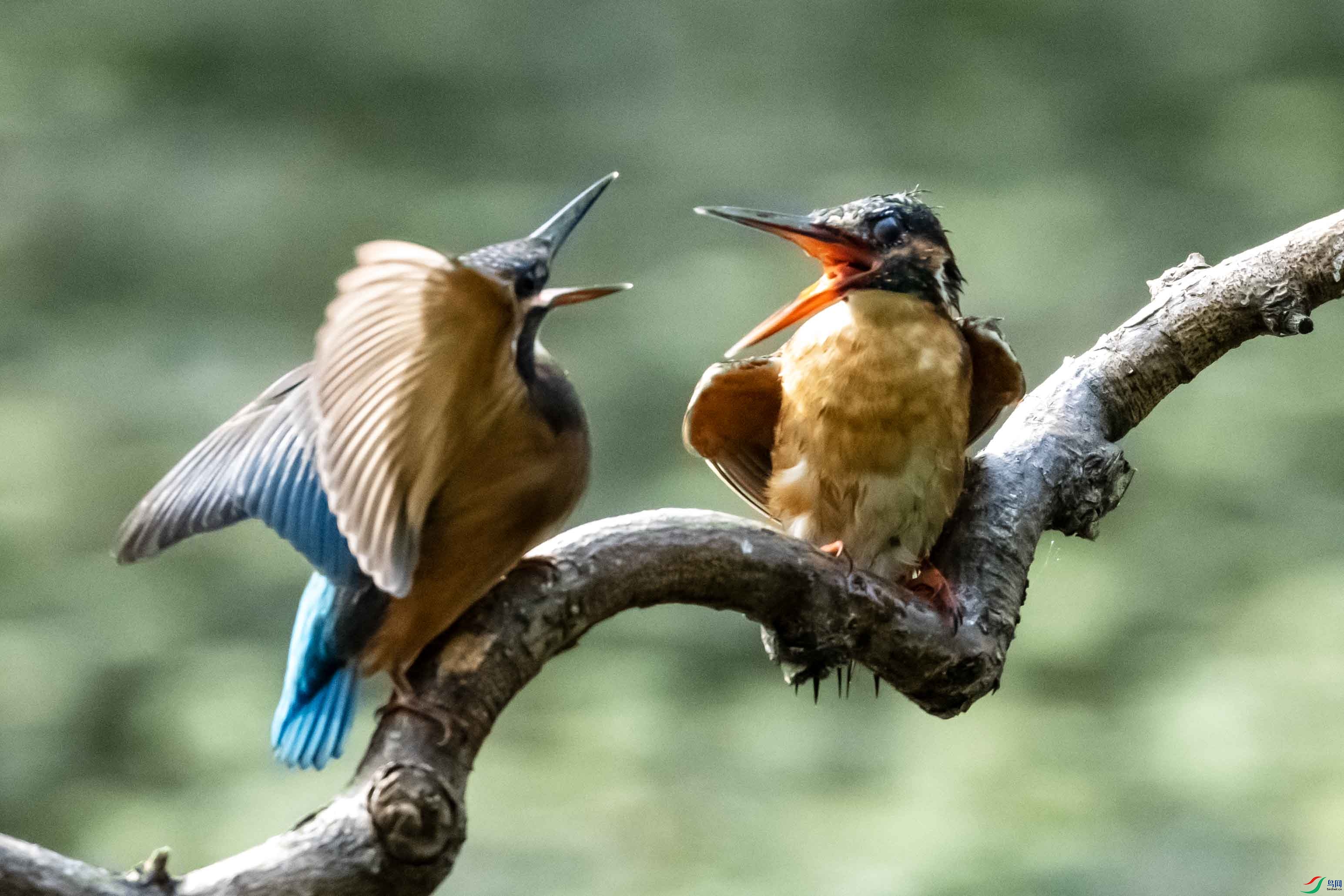 _LYF1407 ����.jpg