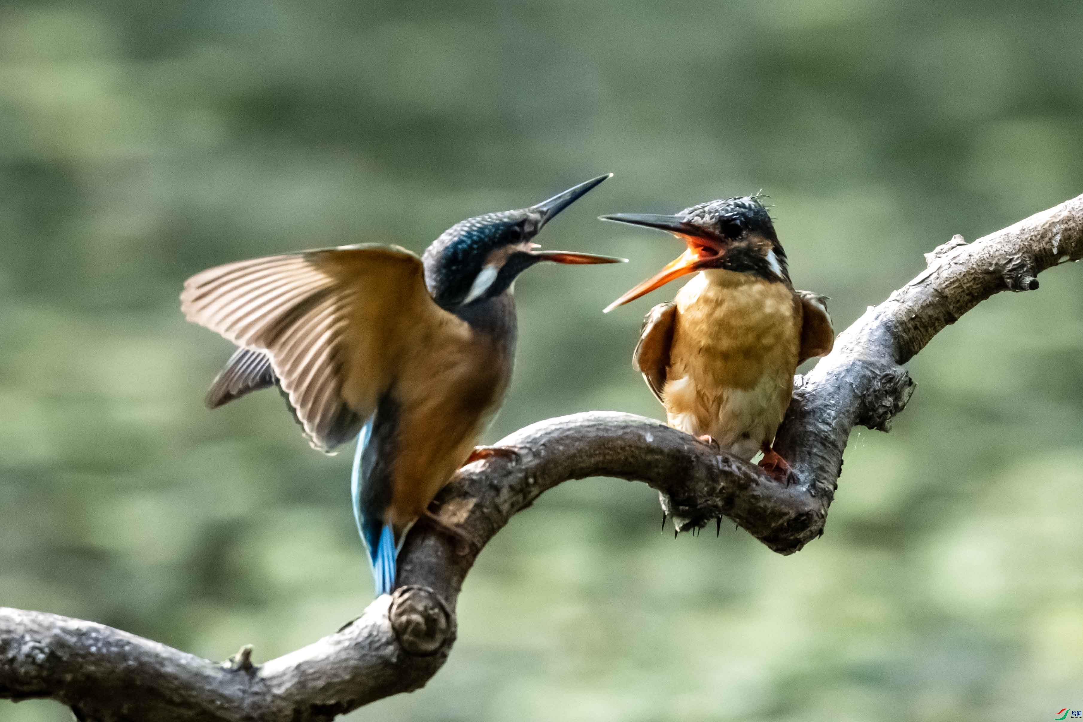 _LYF1413 ����.jpg