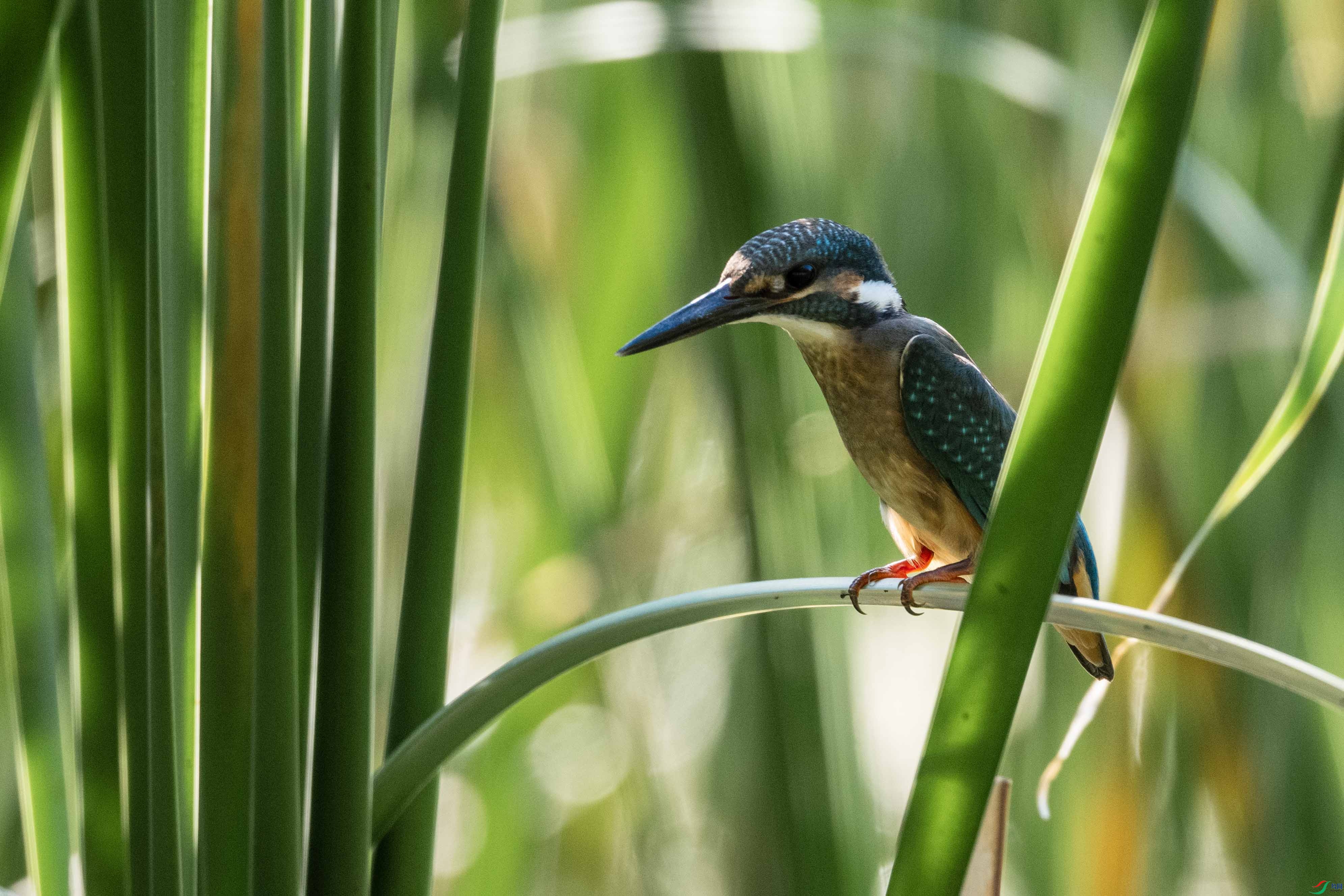 _LYF1577 ����.jpg