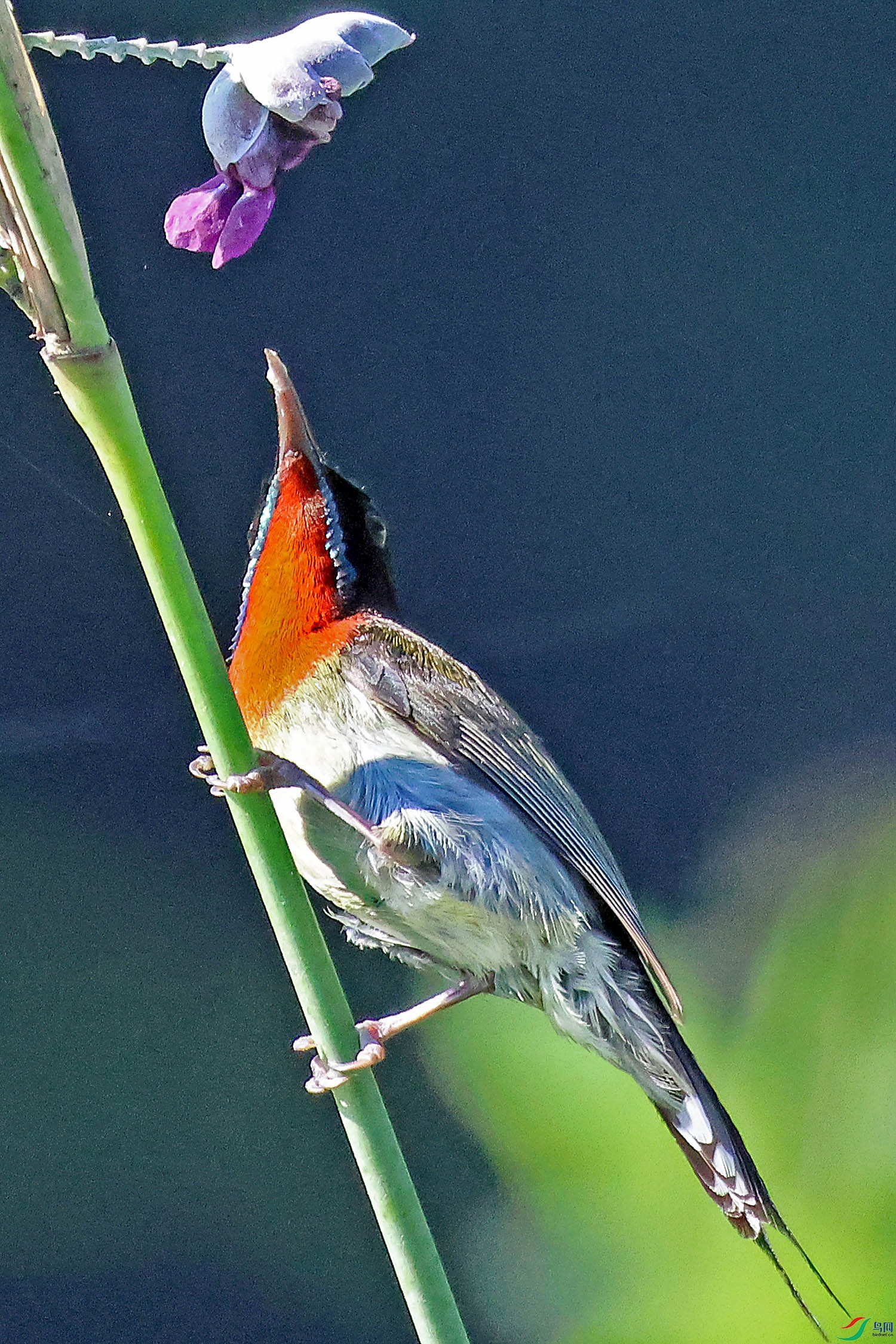 2G9A5489.JPG