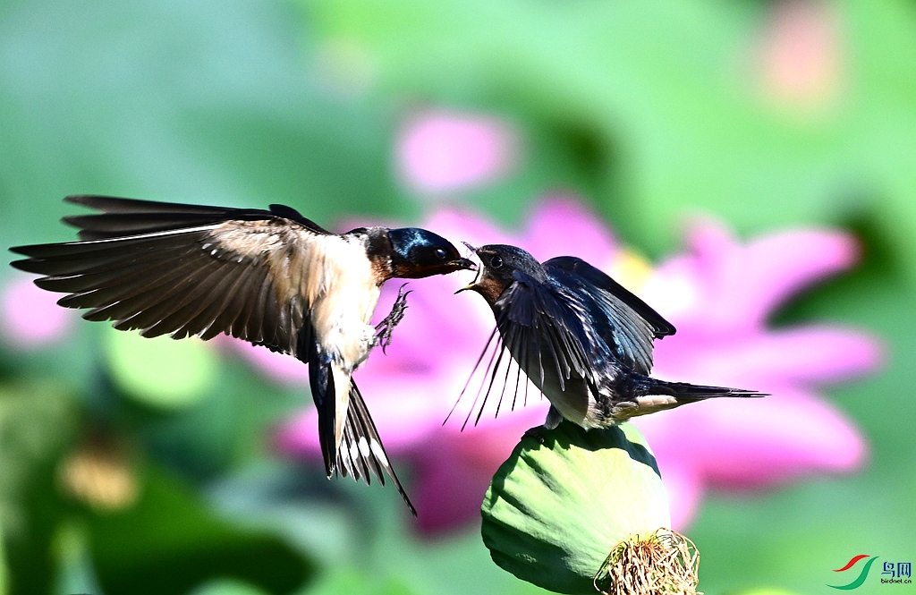 DSC_3051.JPG