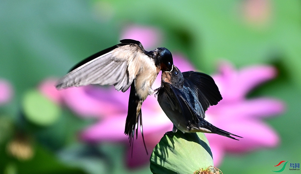 DSC_3053.JPG