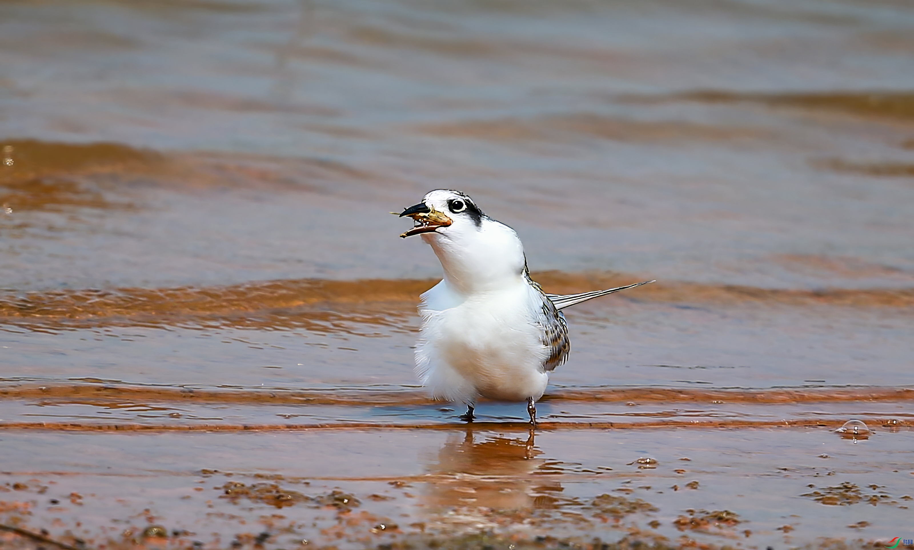 AY8Q8553_����.jpg