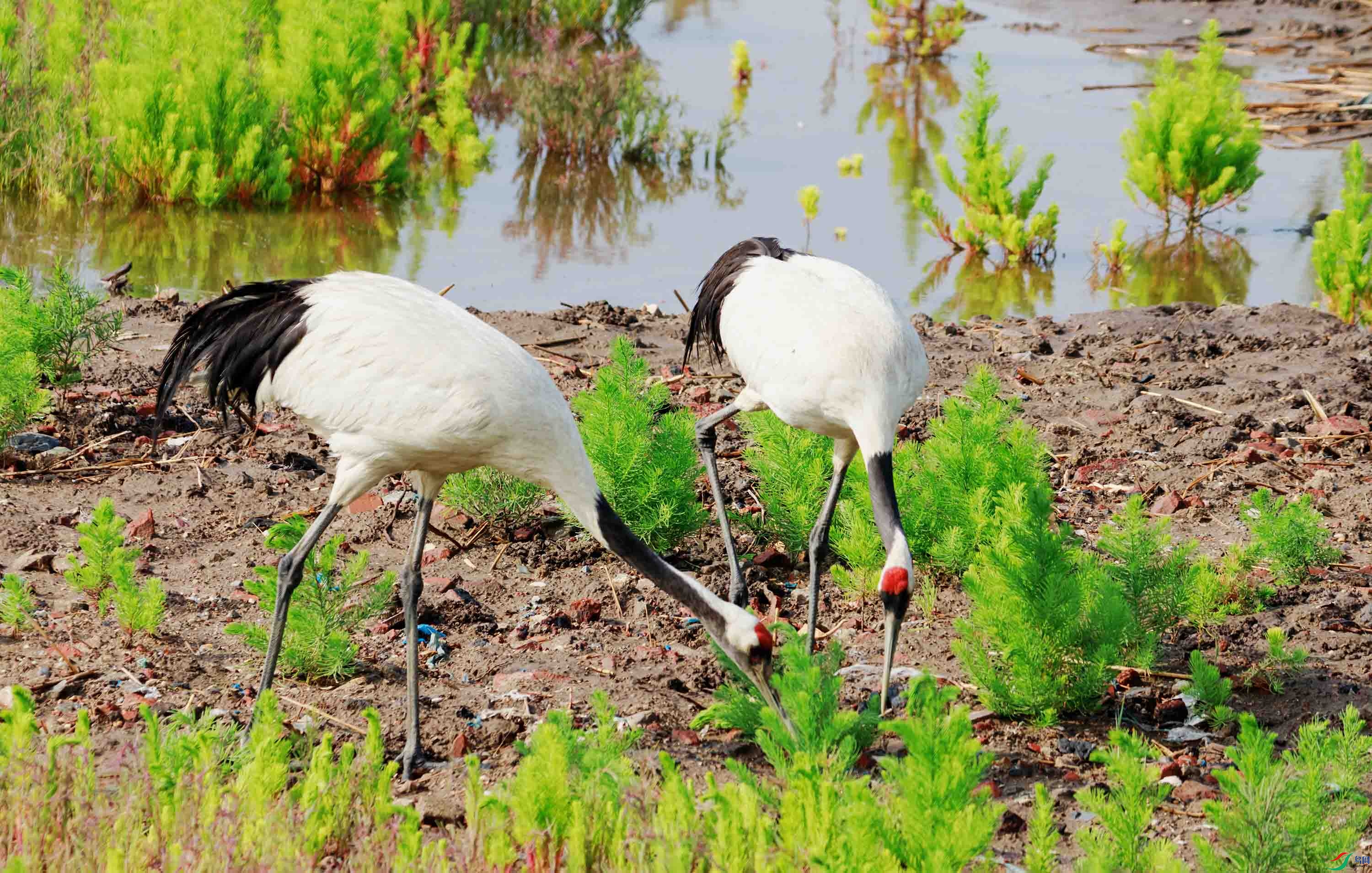 319A1914 ���� 2.jpg