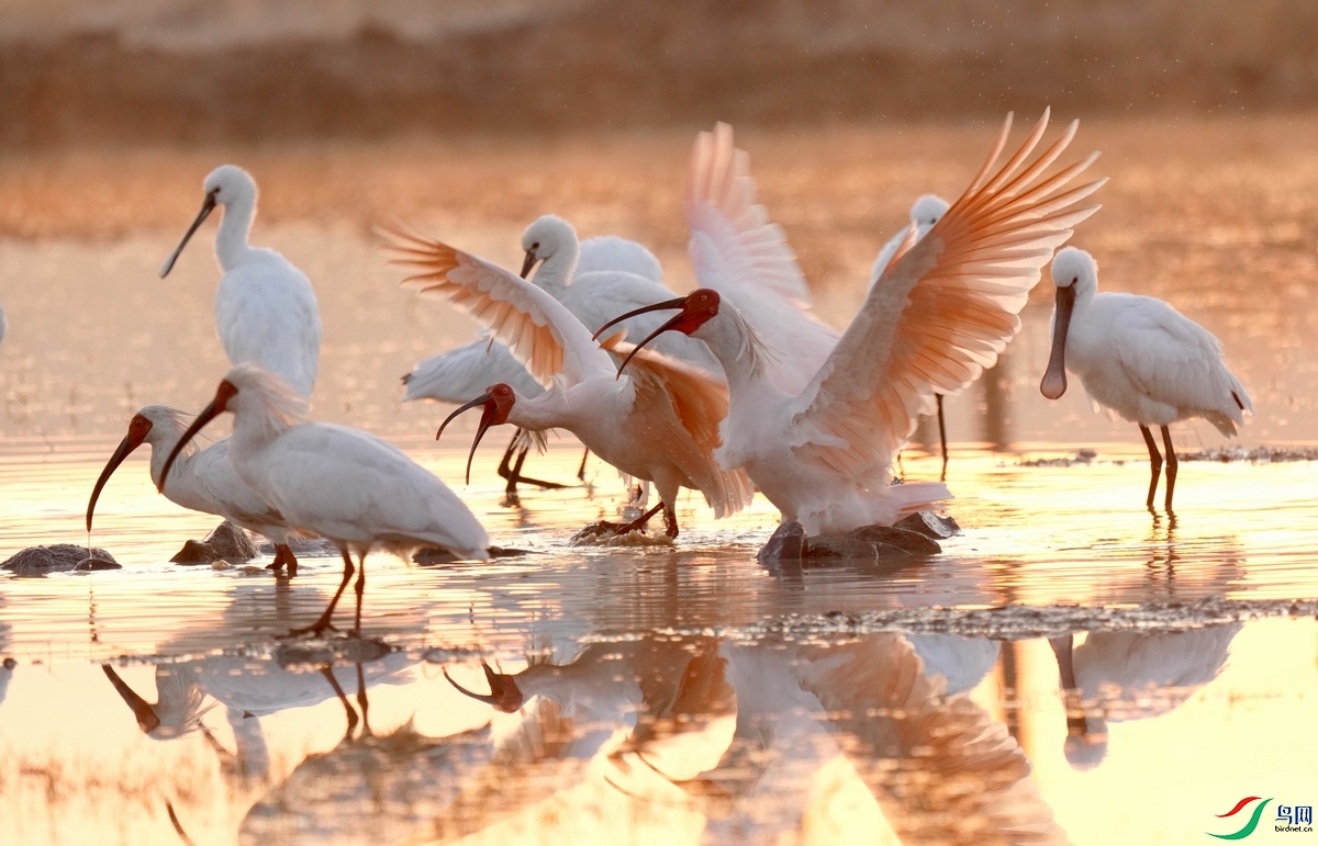 �����µ����q