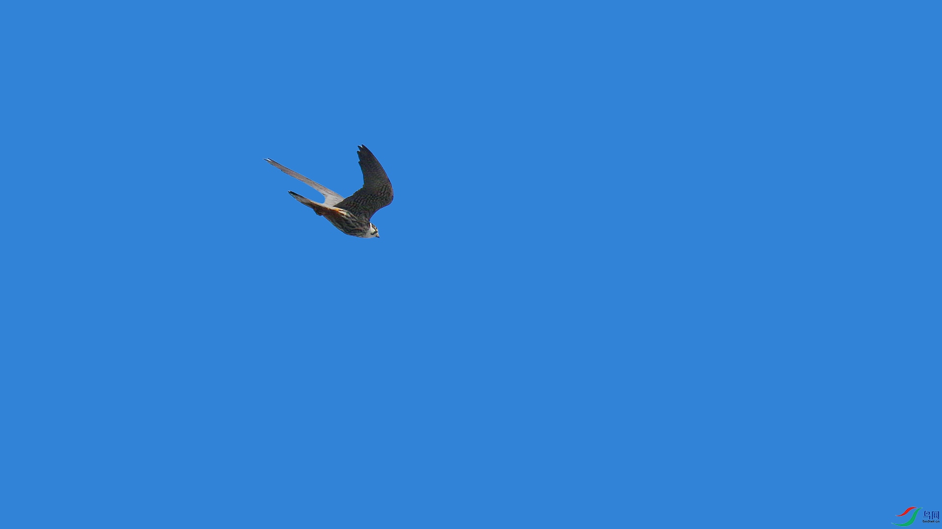 A48Z7562_����.jpg
