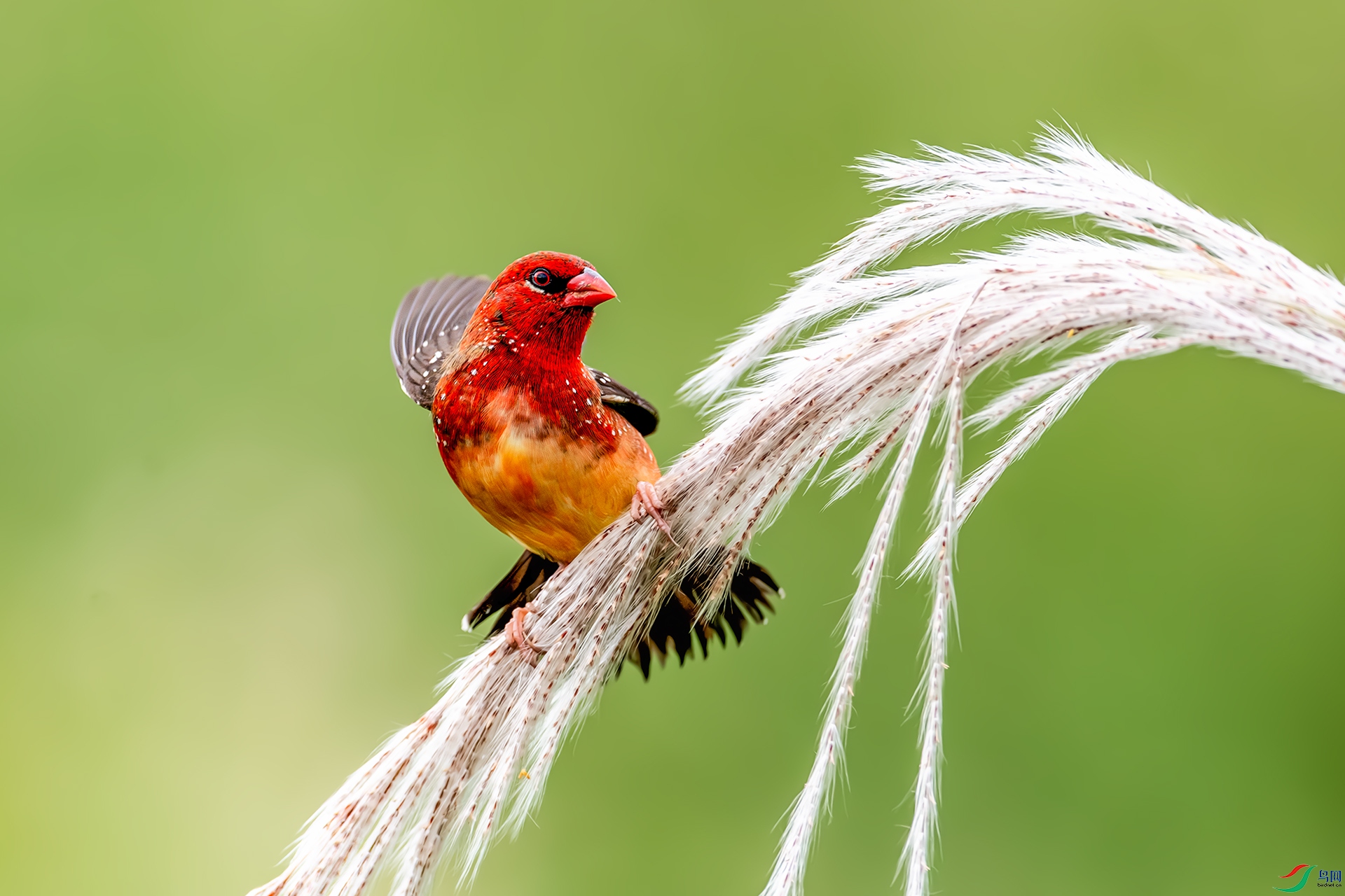 20250630����ϸ��� .jpg