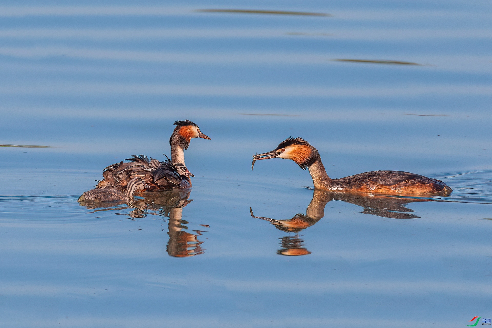 ���� ���� ���¹�Ӱ ��һ.jpg