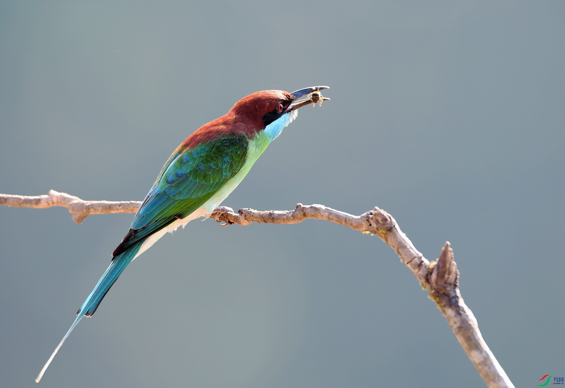 DSC_5747.jpg