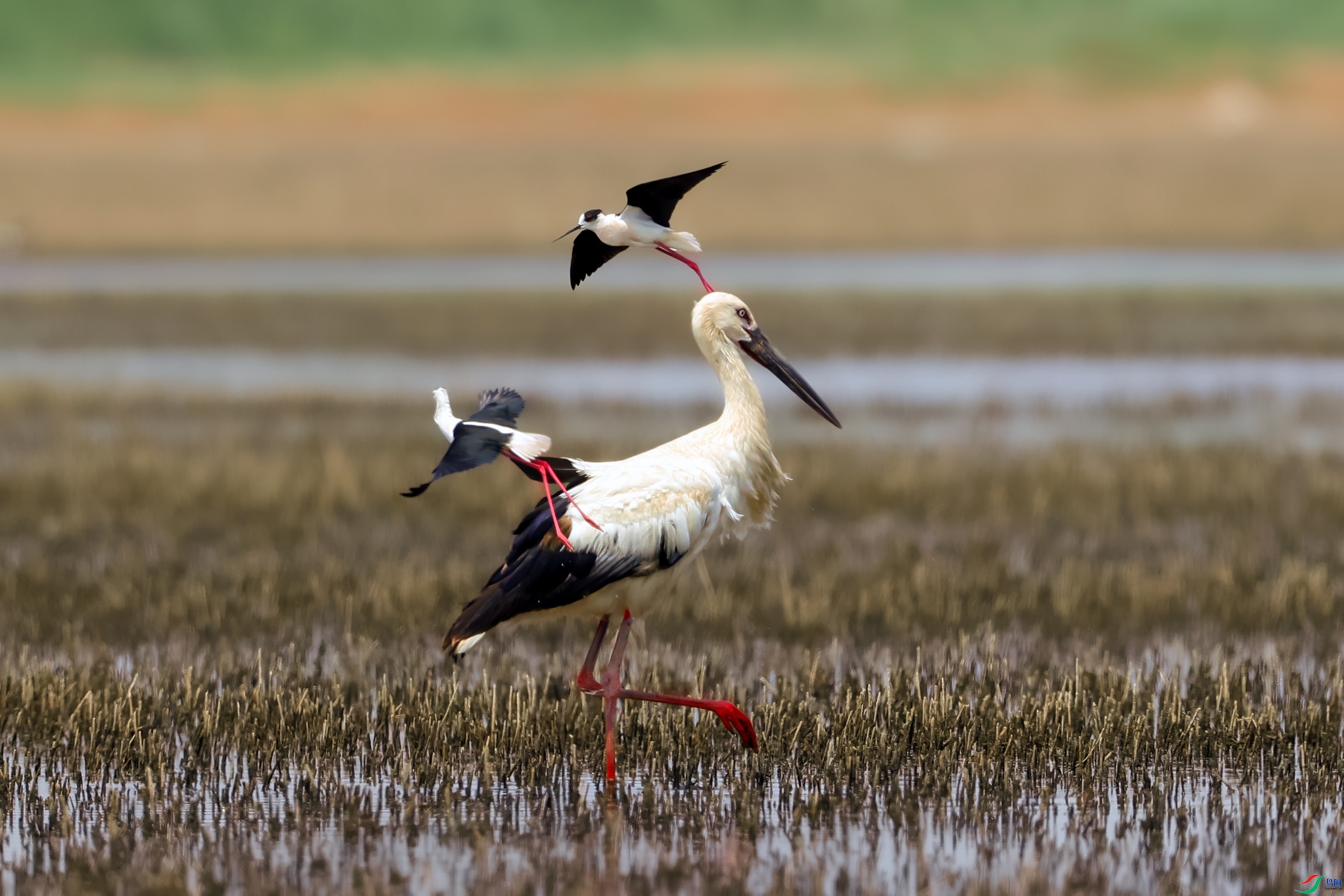 ������� ���� ��һ.jpg