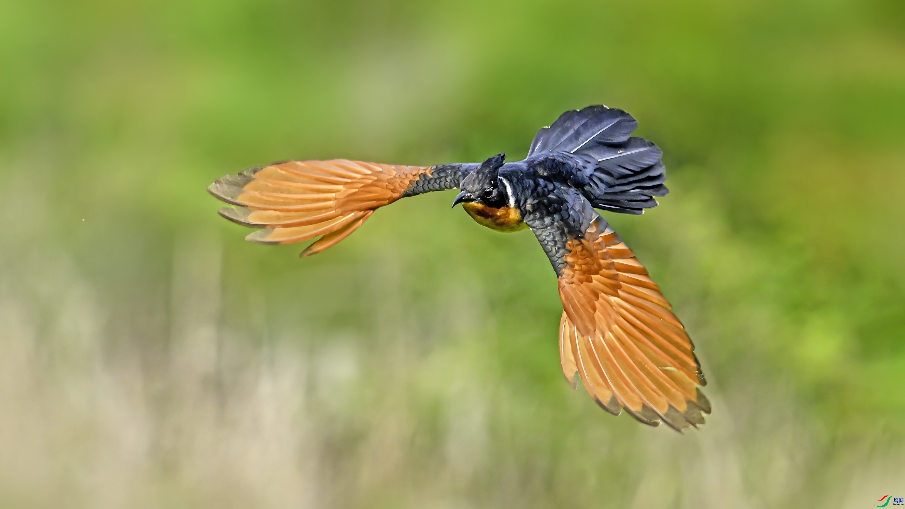 ����ͷ�� ���� wh�ϳ� ��һ.jpg