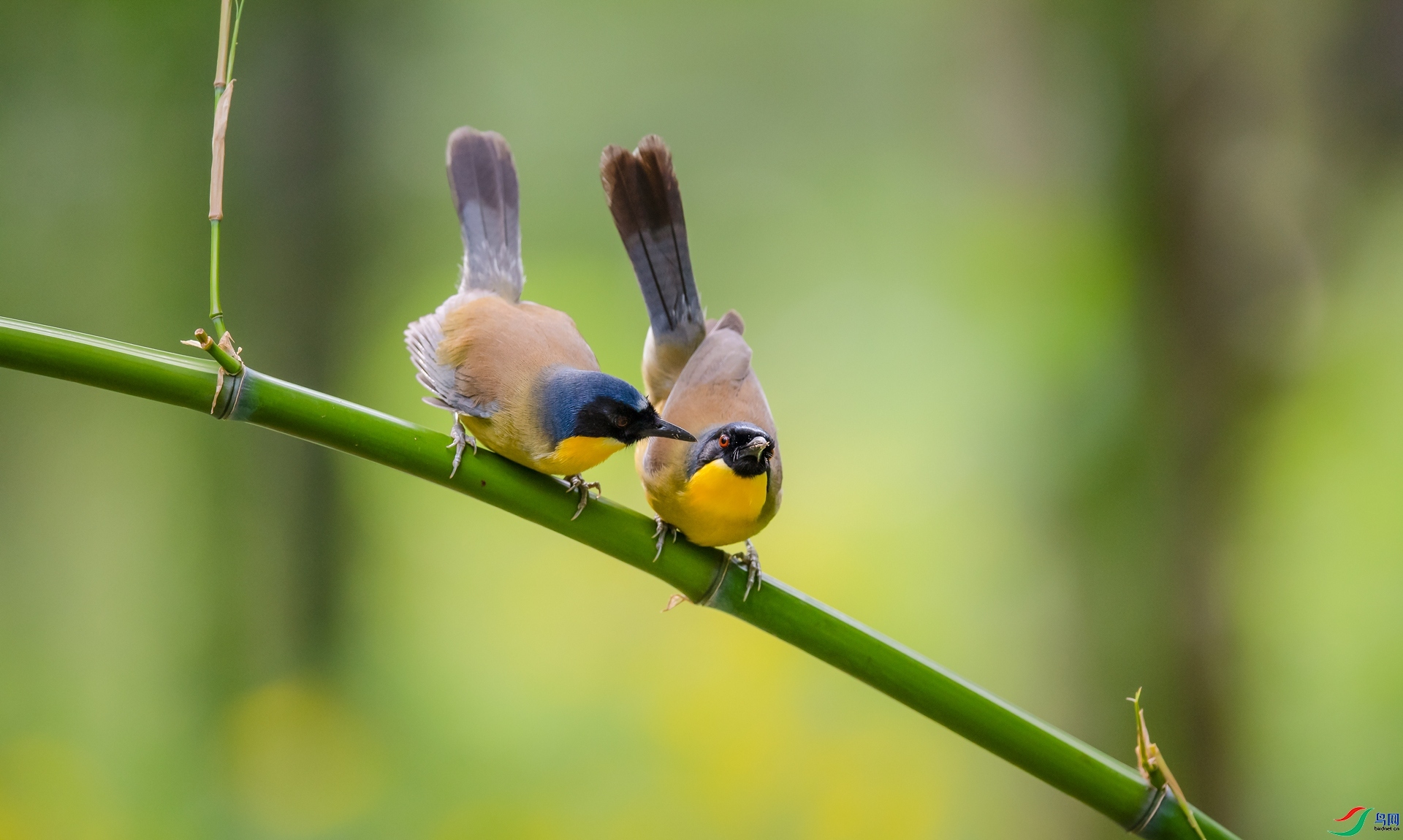 �������� ���� ���� �ܶ�.jpg