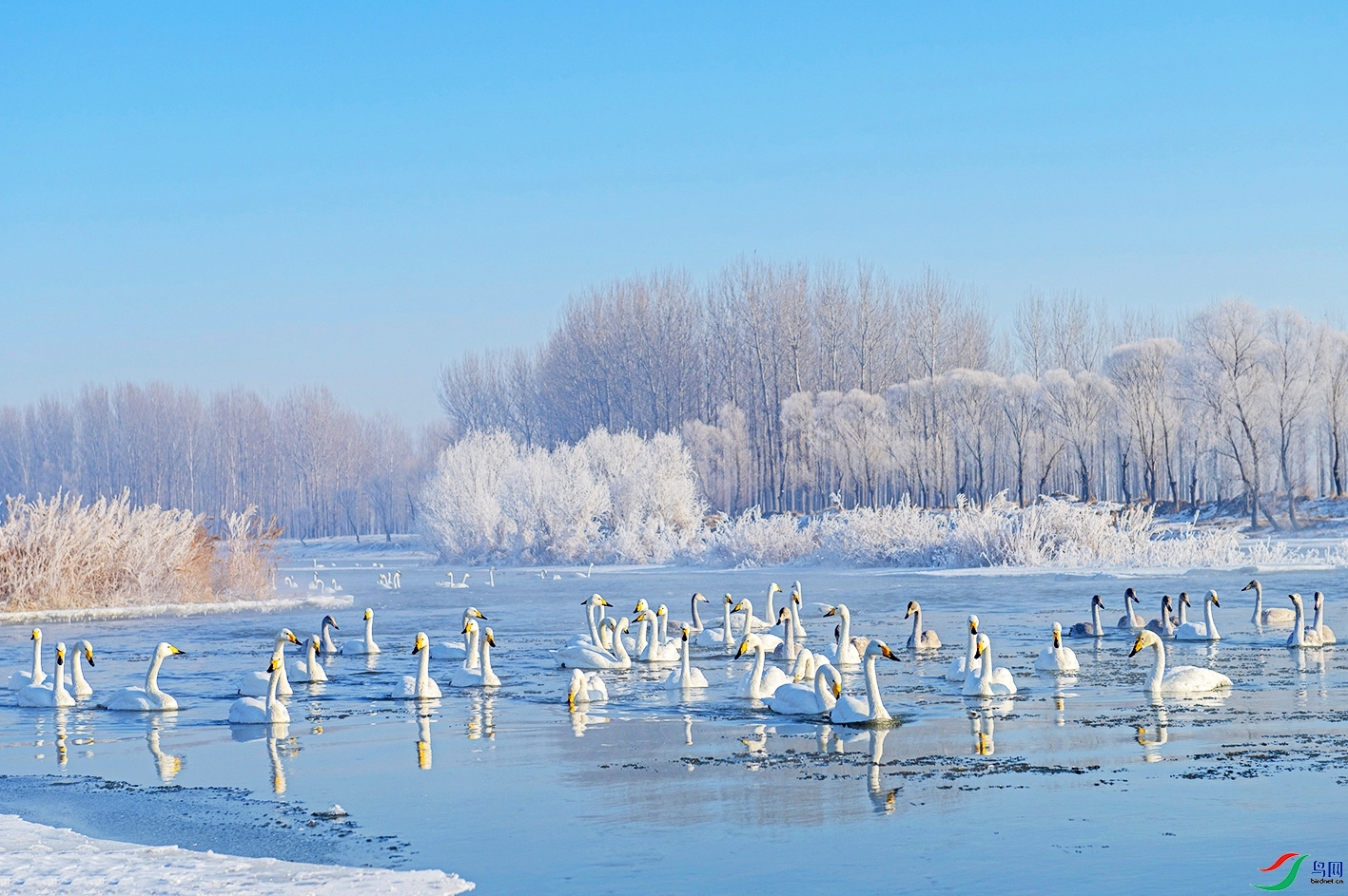 ���մ����  ���� �ܶ�.jpg