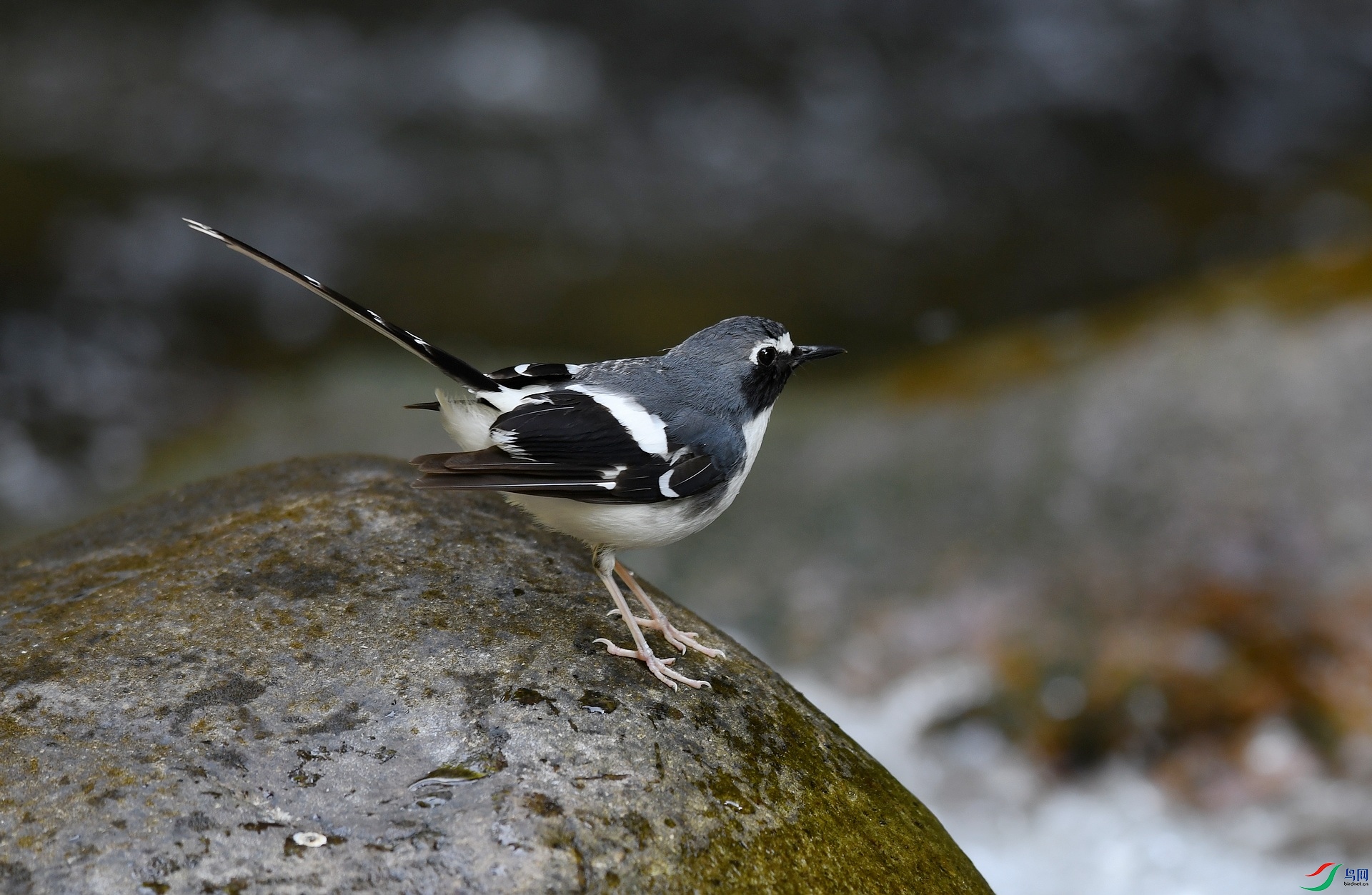 DSC_0199.jpg