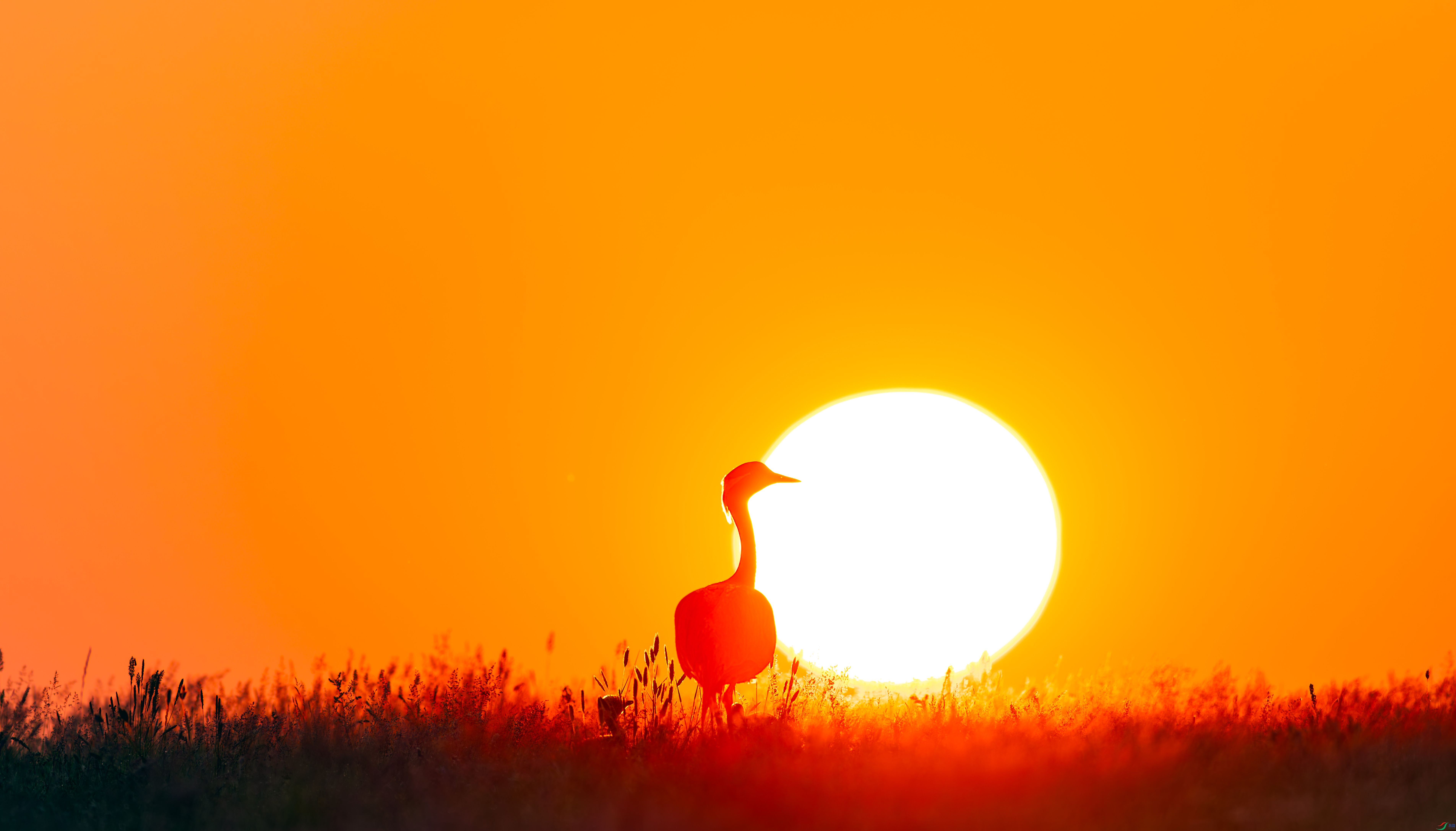 0V9A1765-����ǿ-NR-����ǿ-SR.jpg