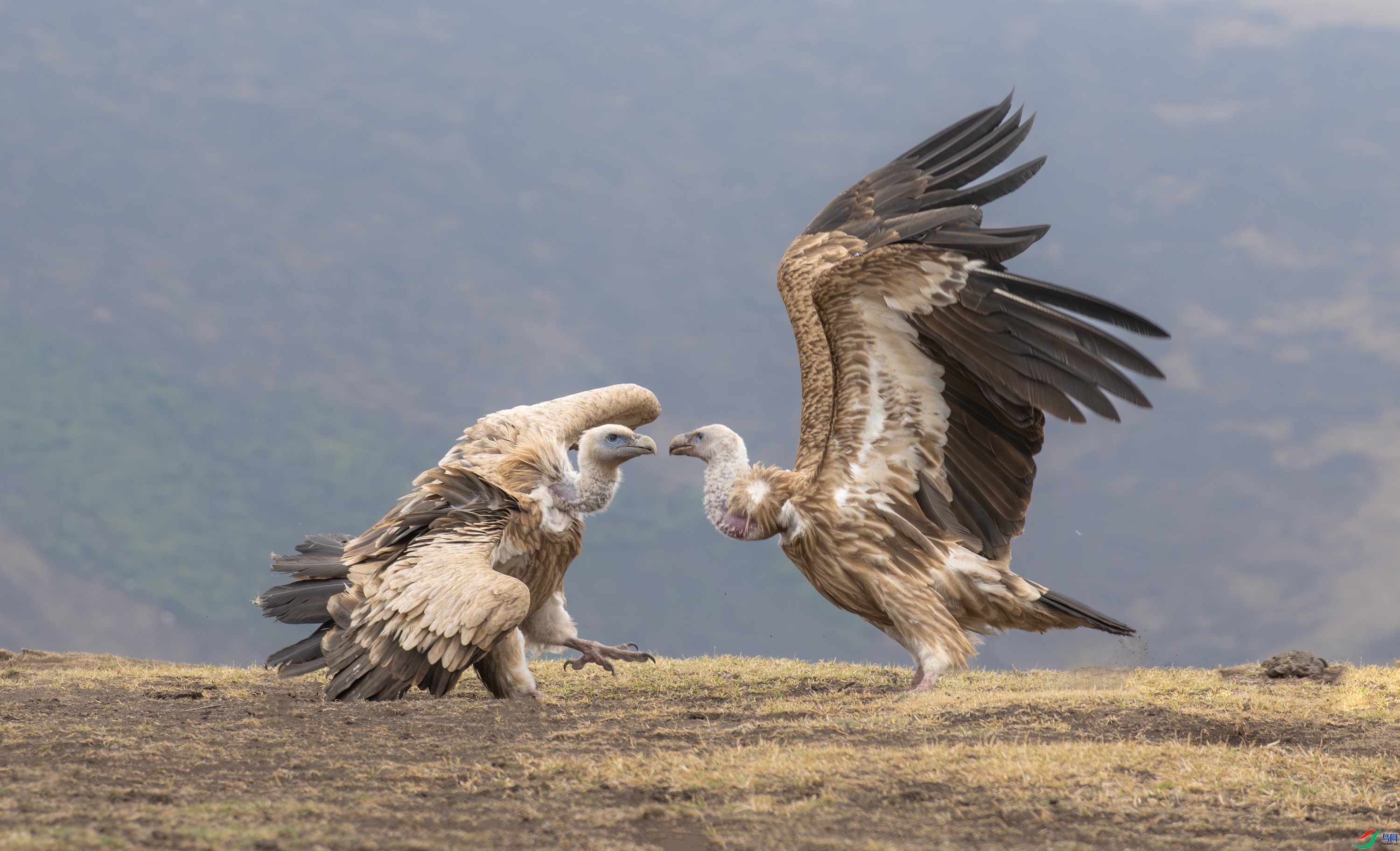 �����â  ���� ��Ͽ֮�� �ܶ�.jpg