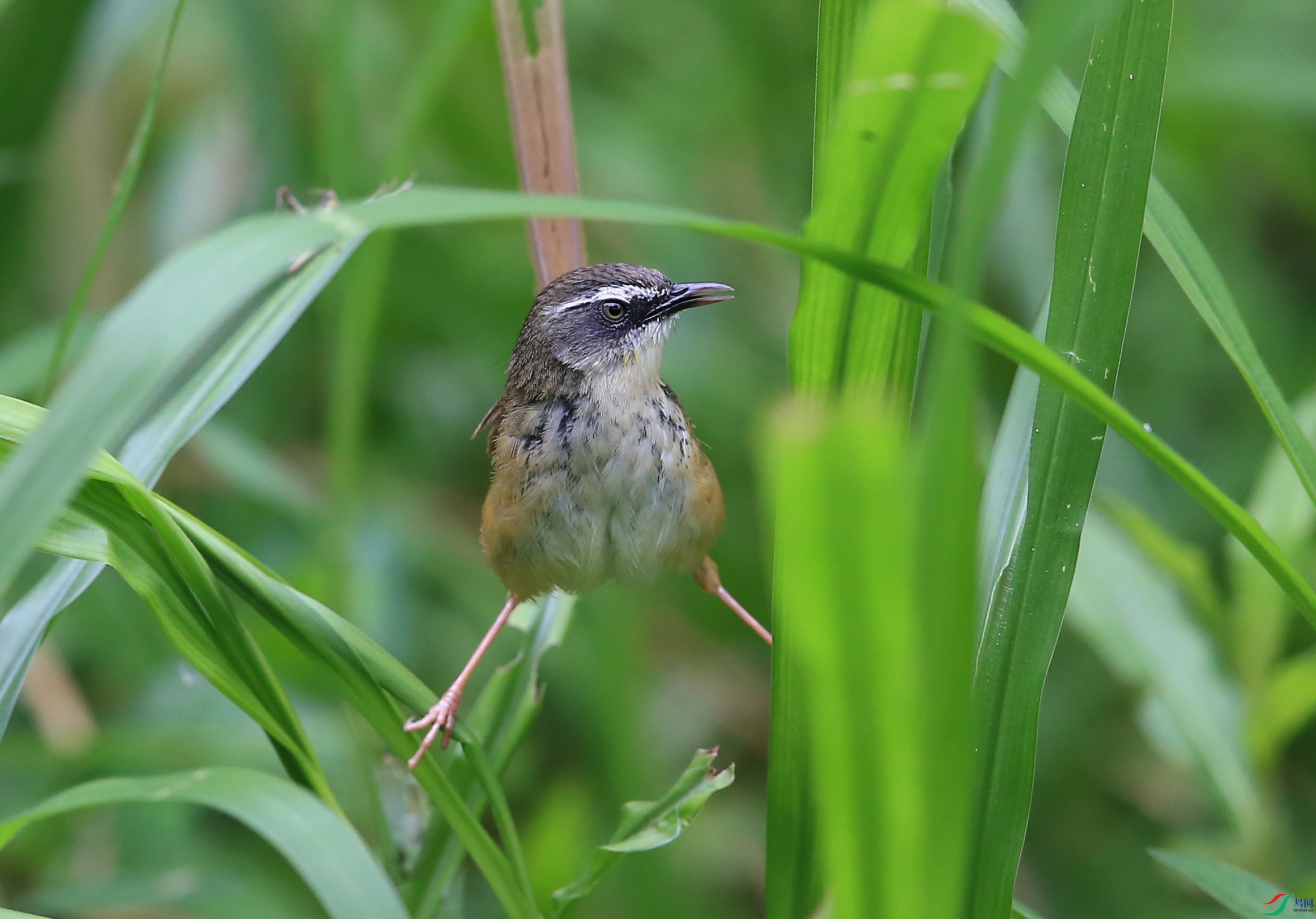 IMGL2511�� ��.JPG