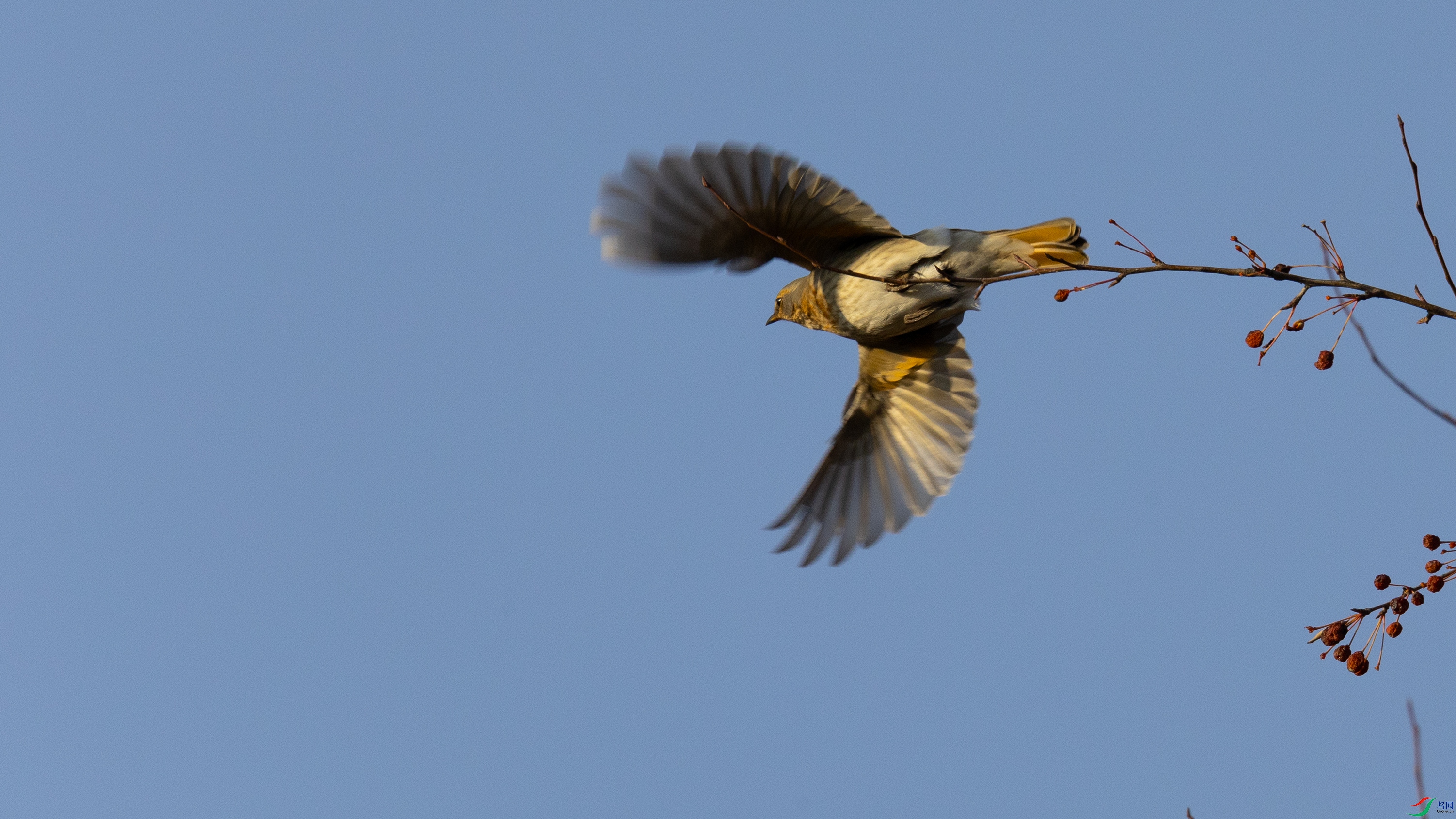 _X5A8790 ����.jpg