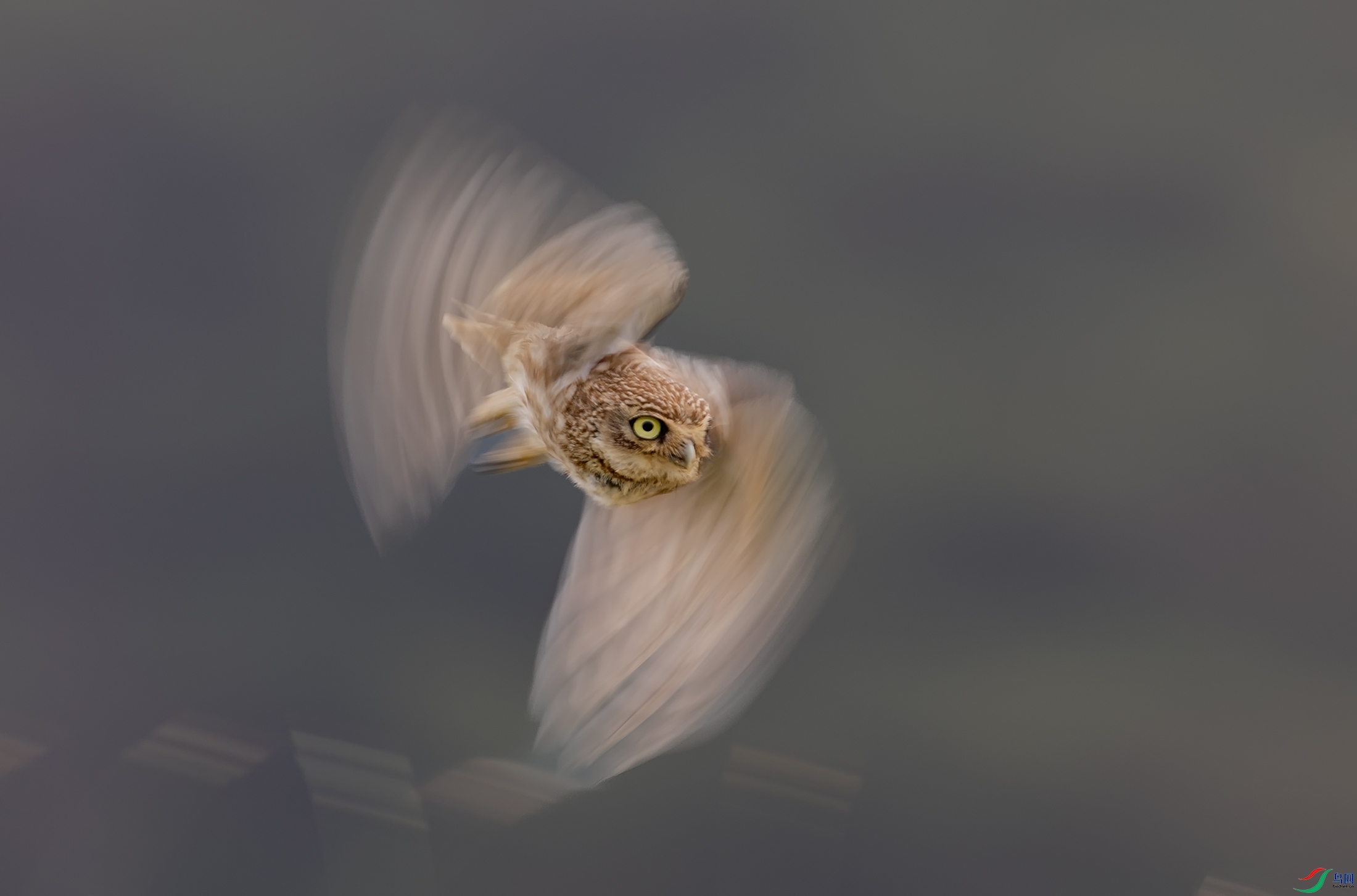 ���Ƹ�С�^