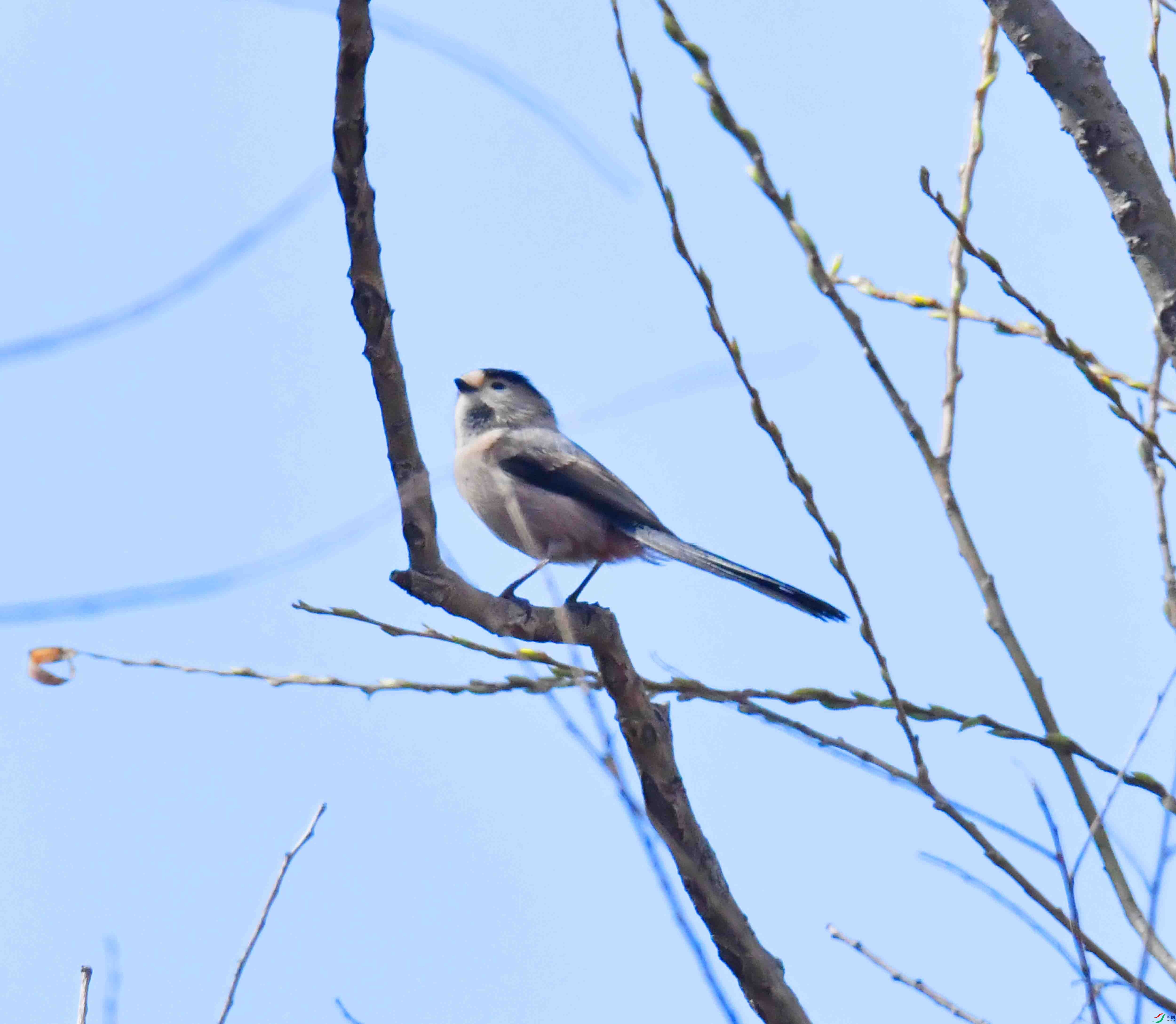 DSC_1751.JPG