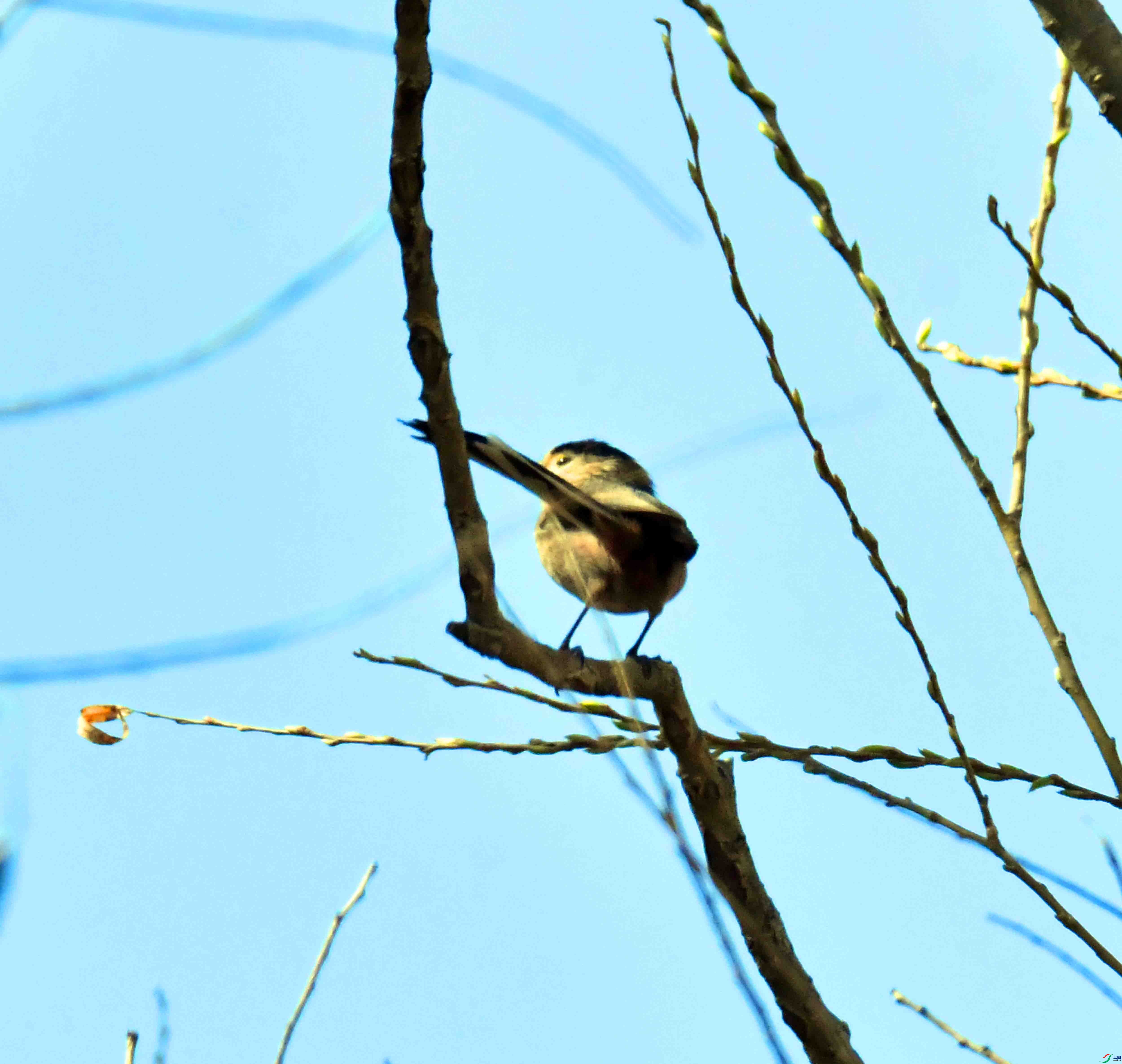 DSC_1748.JPG