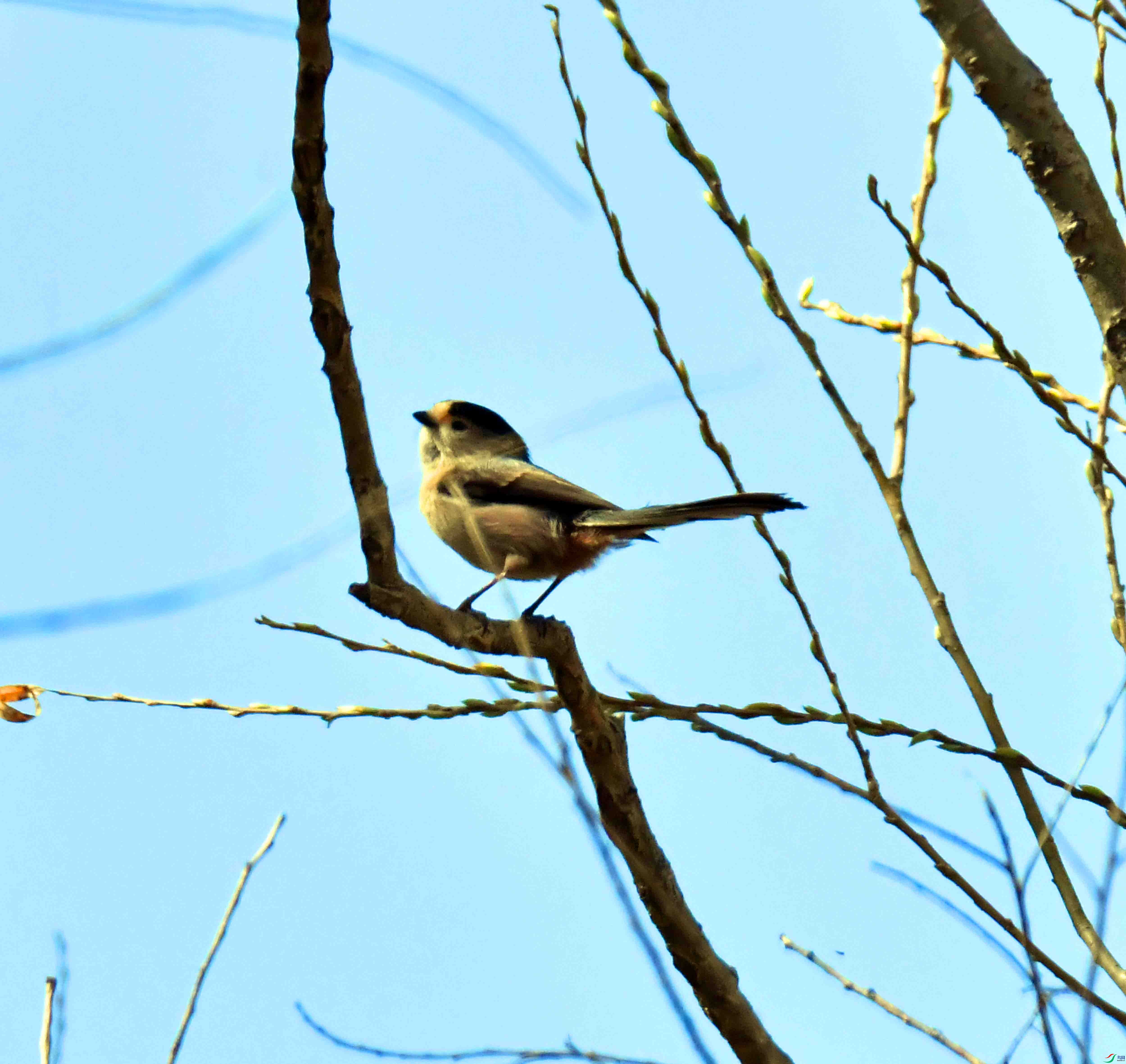 DSC_1749.JPG