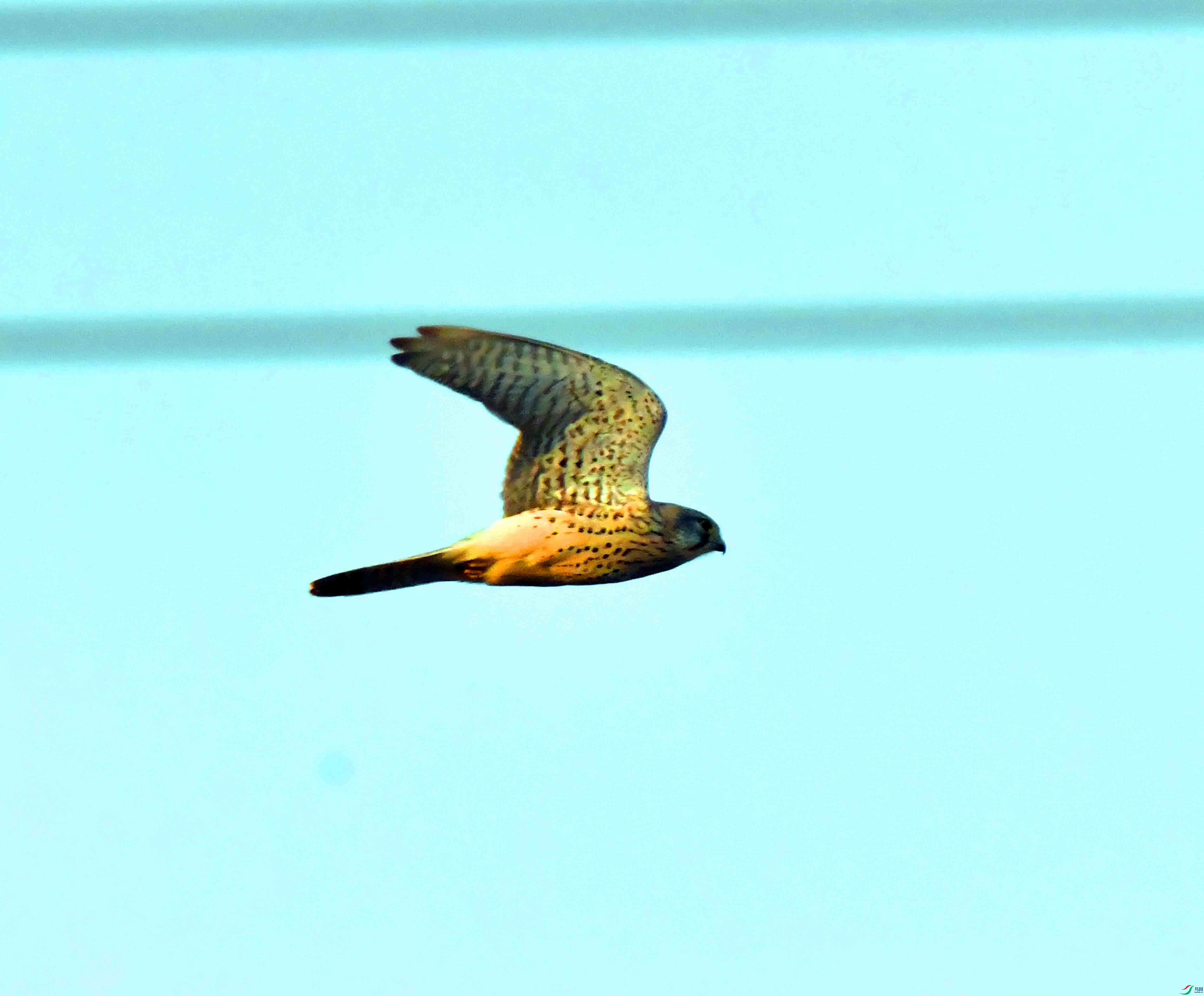 DSC_8615.JPG