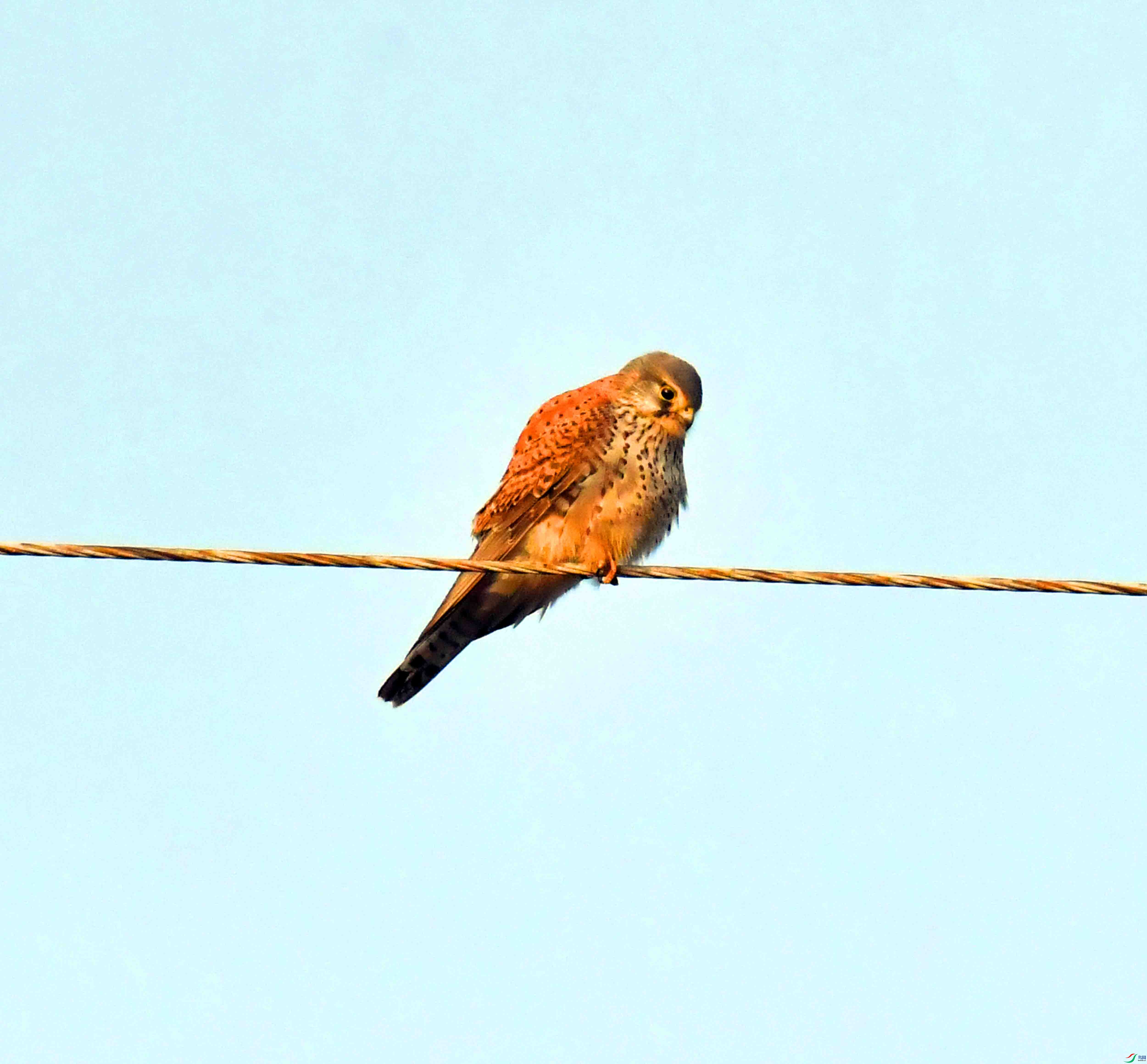 DSC_8622.JPG