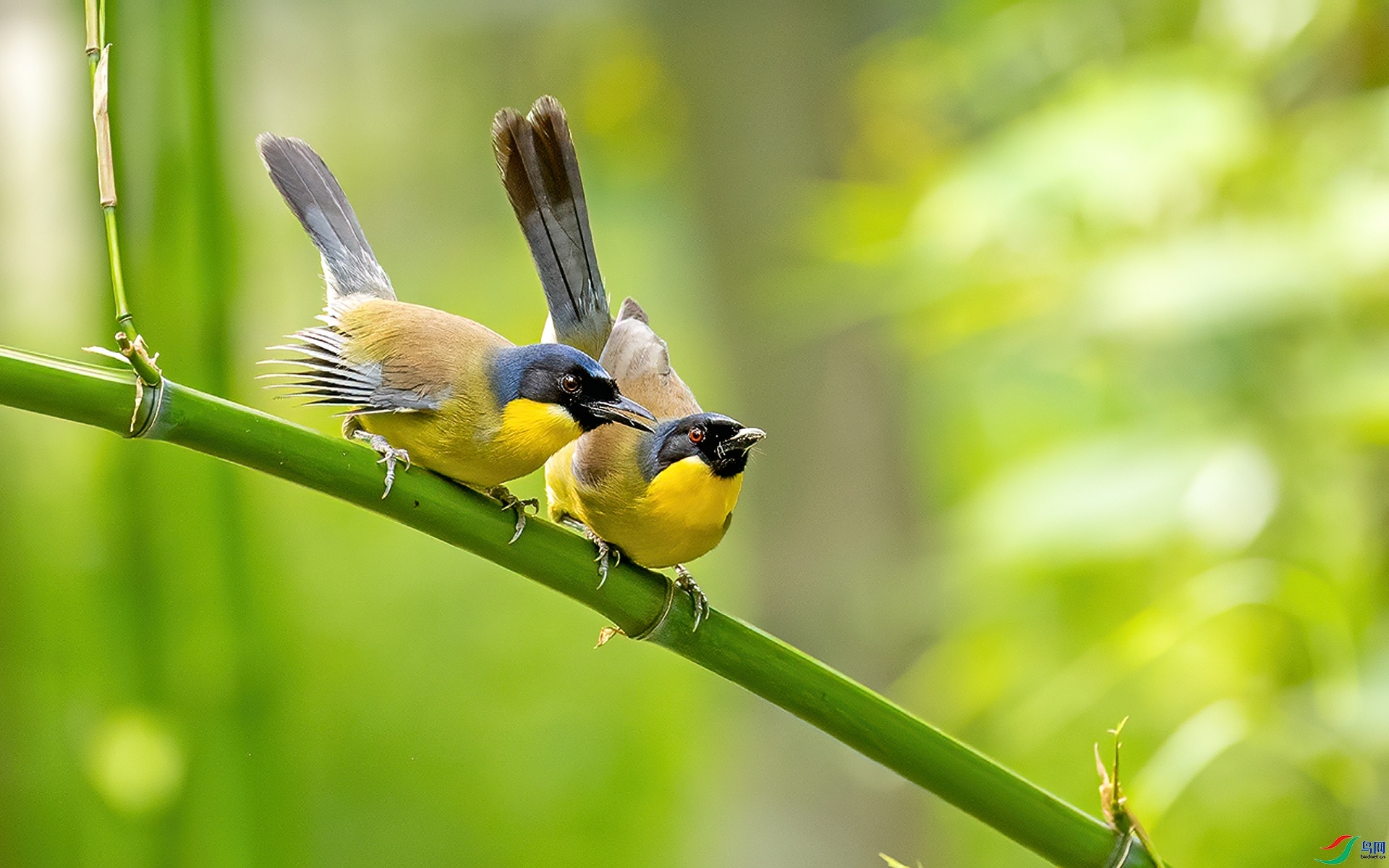 ����  ����л���� ����.jpg