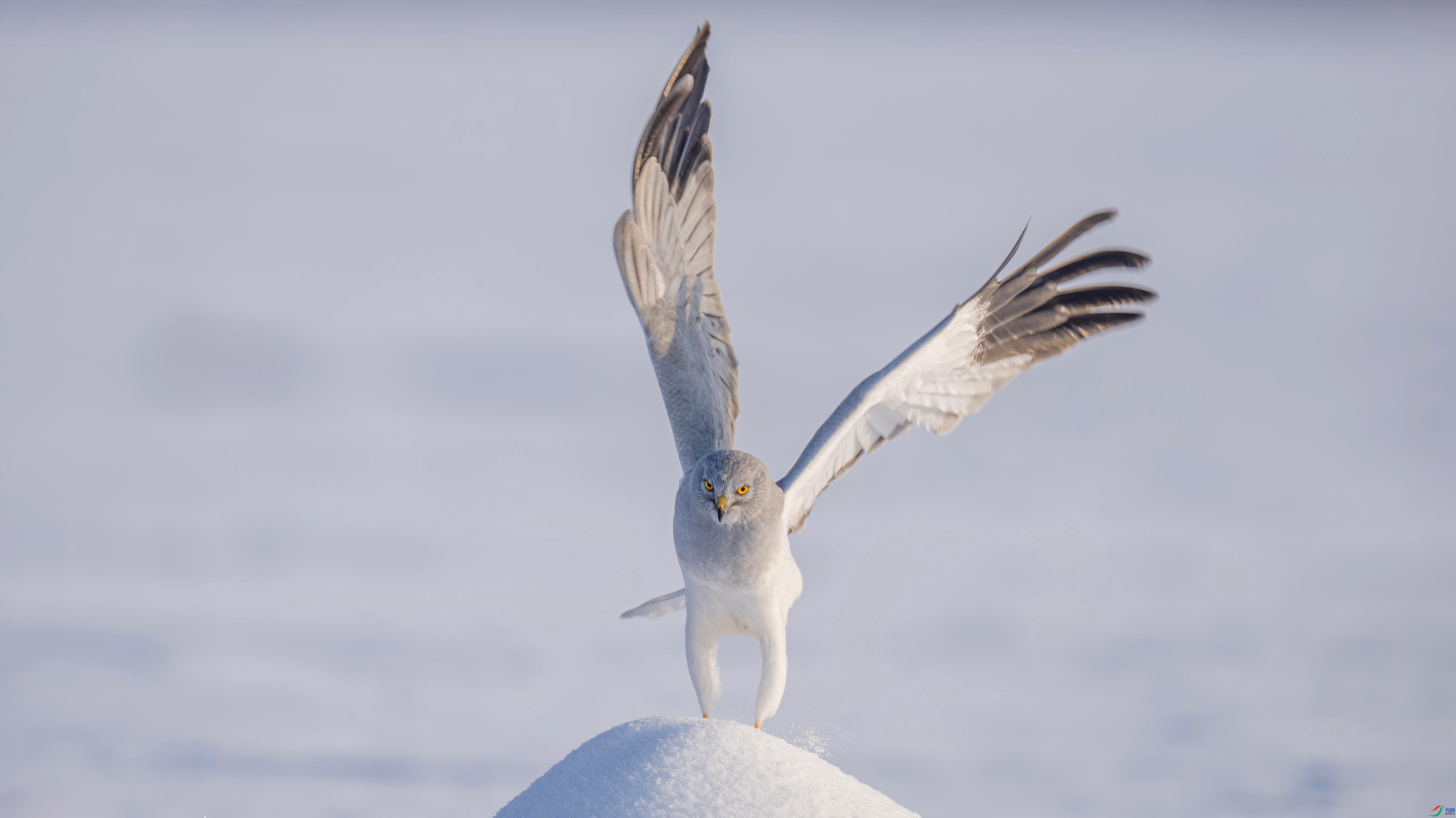 ��  ���� ������ ����.jpg