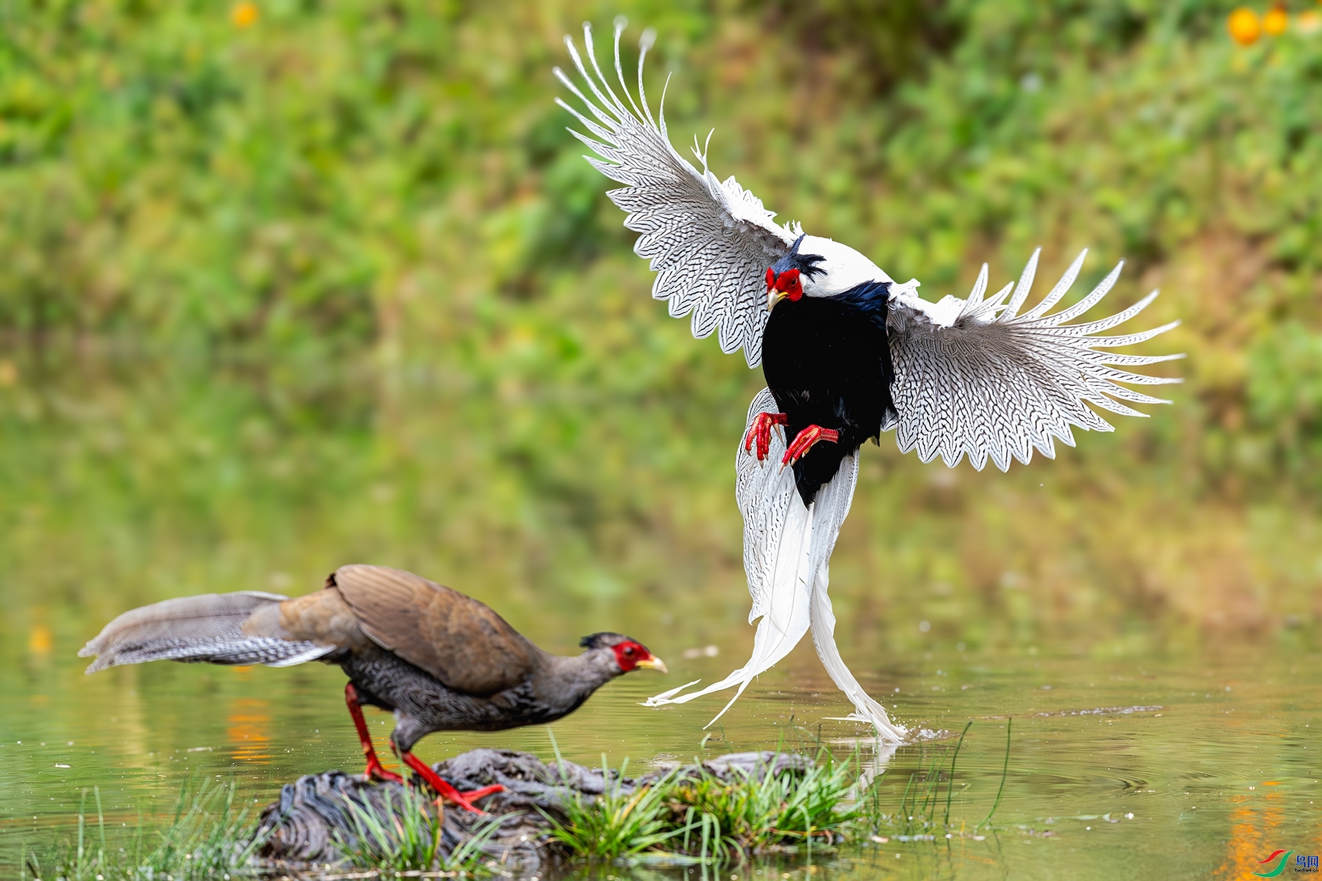 ����  ���� ����ǿ ����.jpg