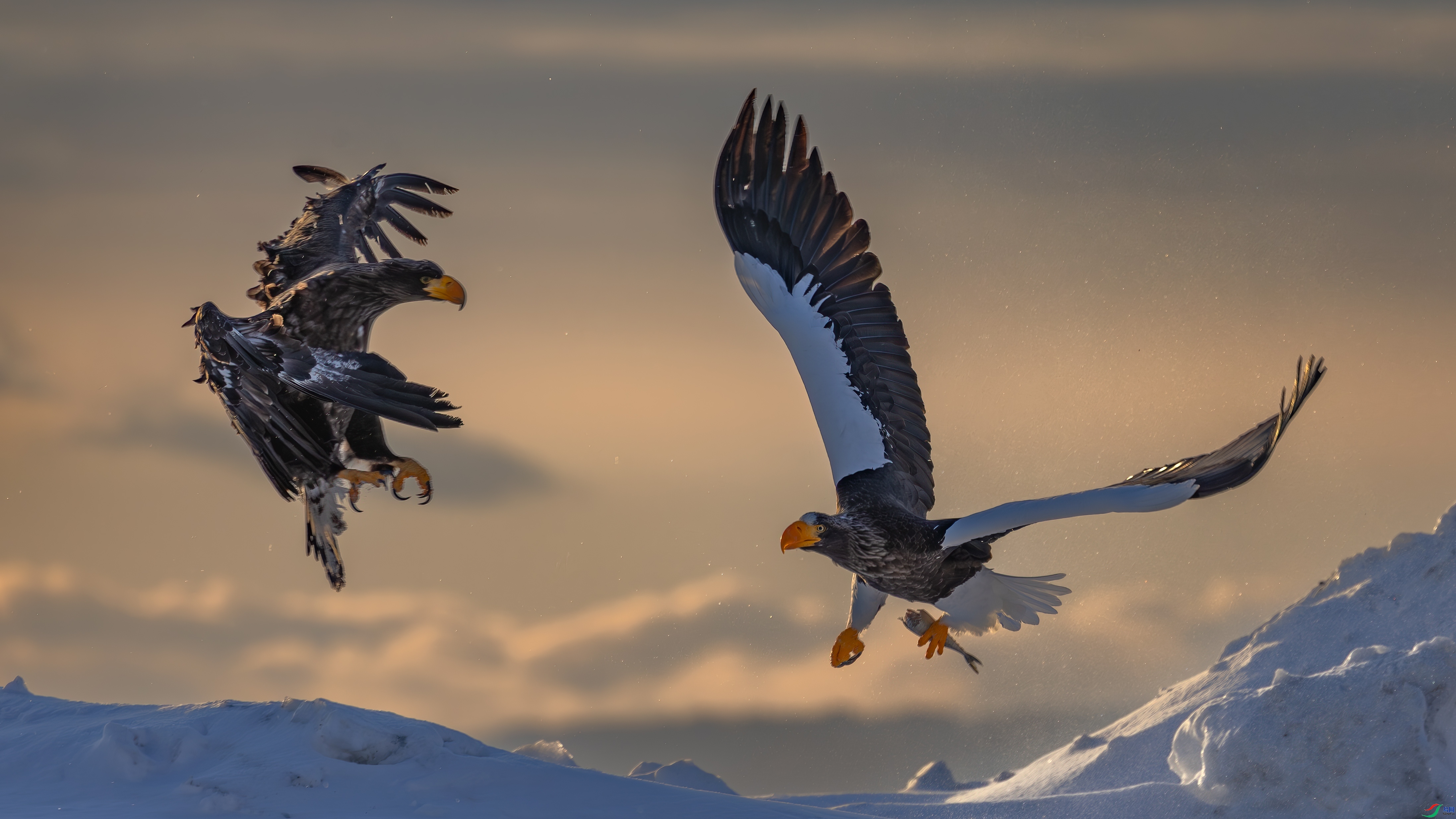 �����еĶ���  ���� �䱾���� ����.jpg