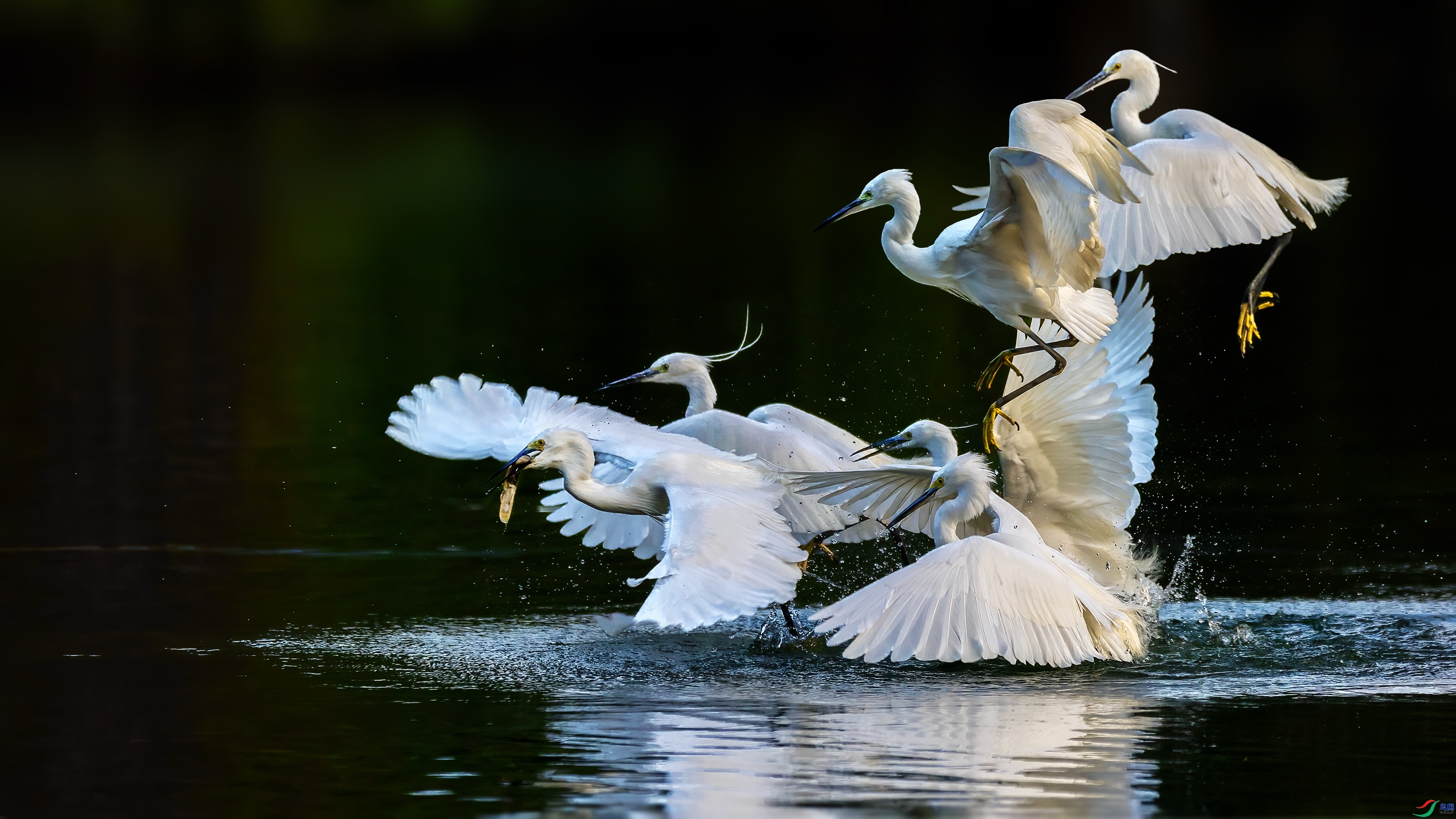 �Ѳ�����  ���� ��־���� ����.jpg