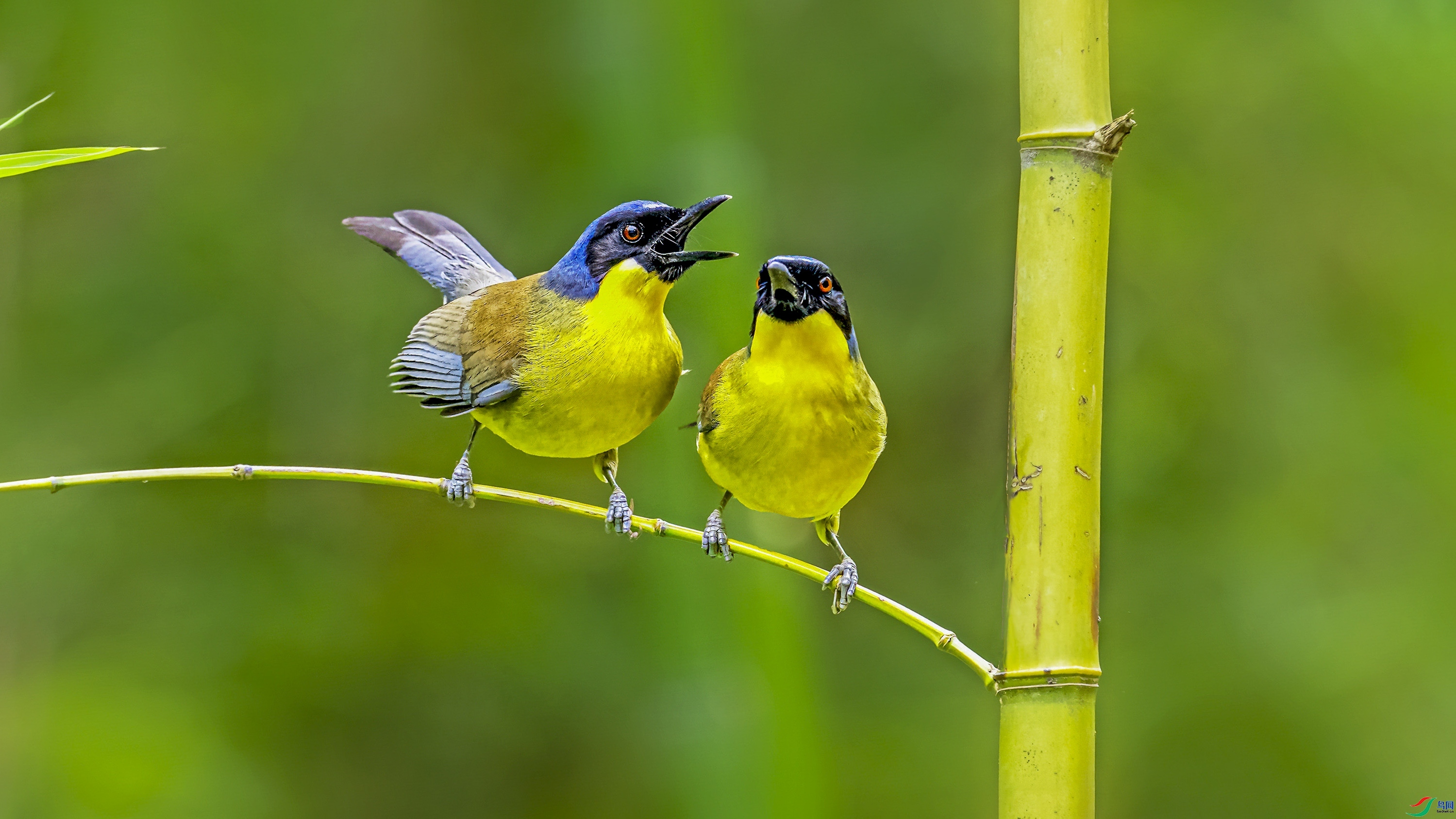 �������  ���� wh�ϳ� ����.jpg