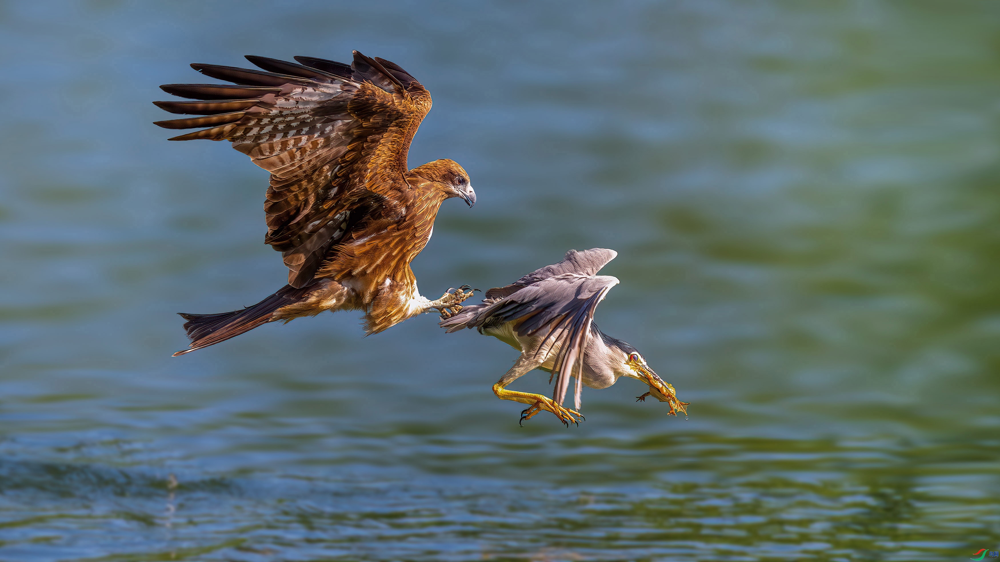 ׷�� ���� ��ѧ�� ����.jpg