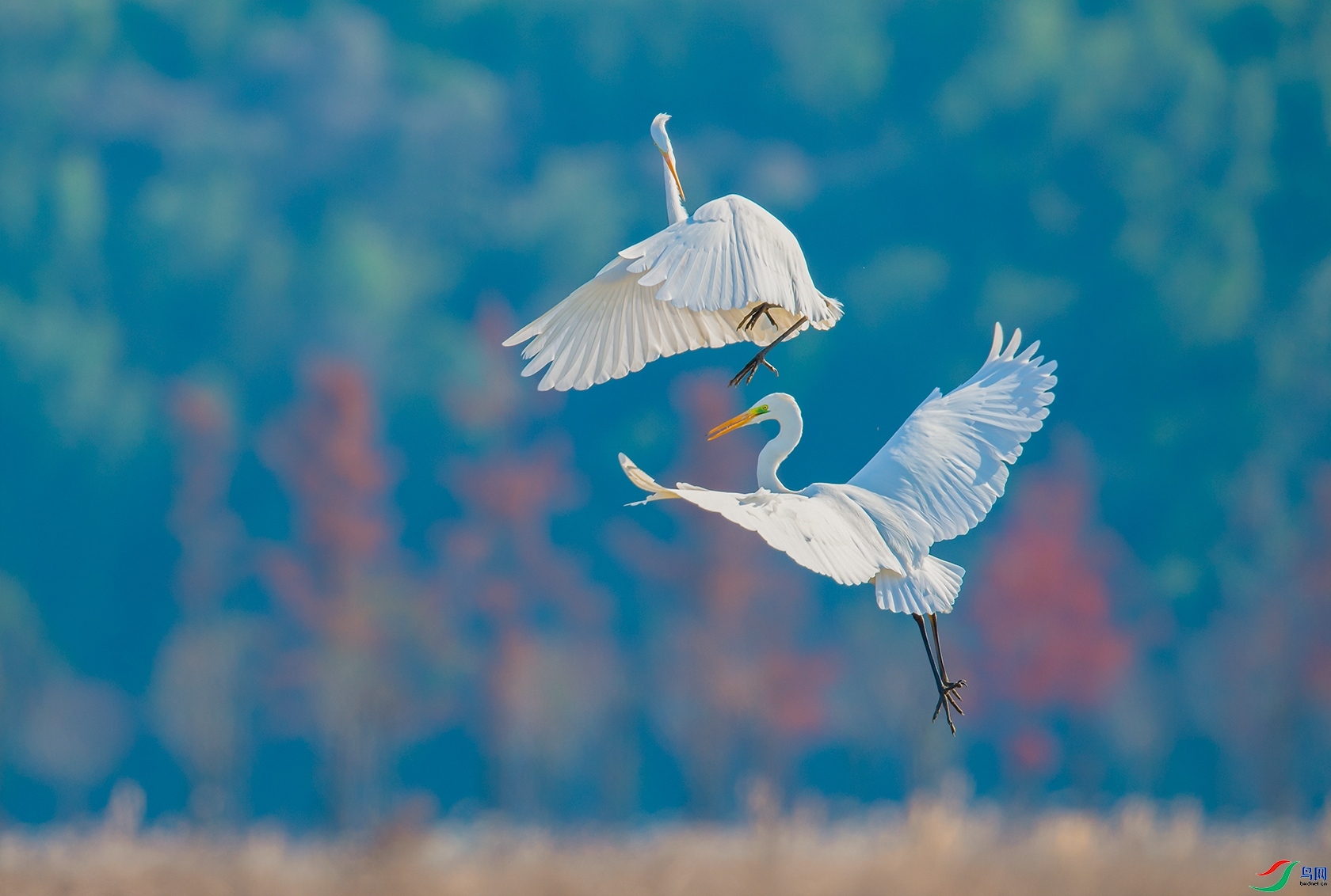 ���� ���� ���� ����.jpg