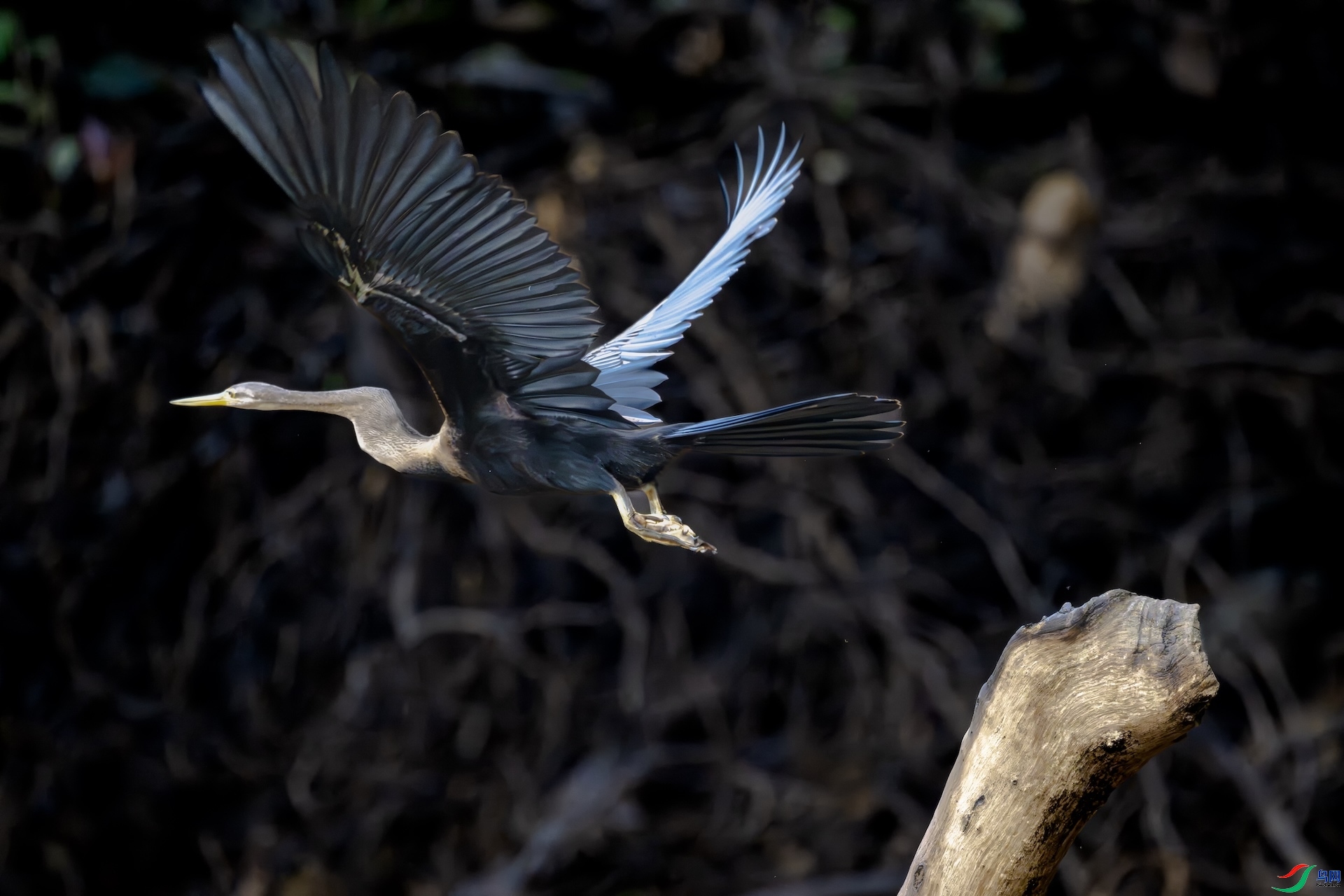 ����  ���� haoran100  ����.jpg