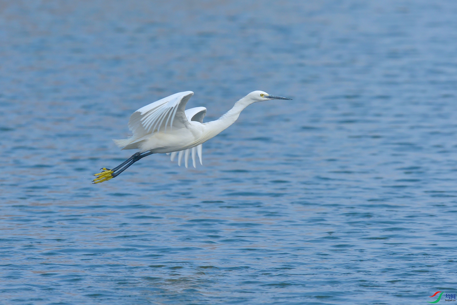 DSC_7712_DxOa.jpg