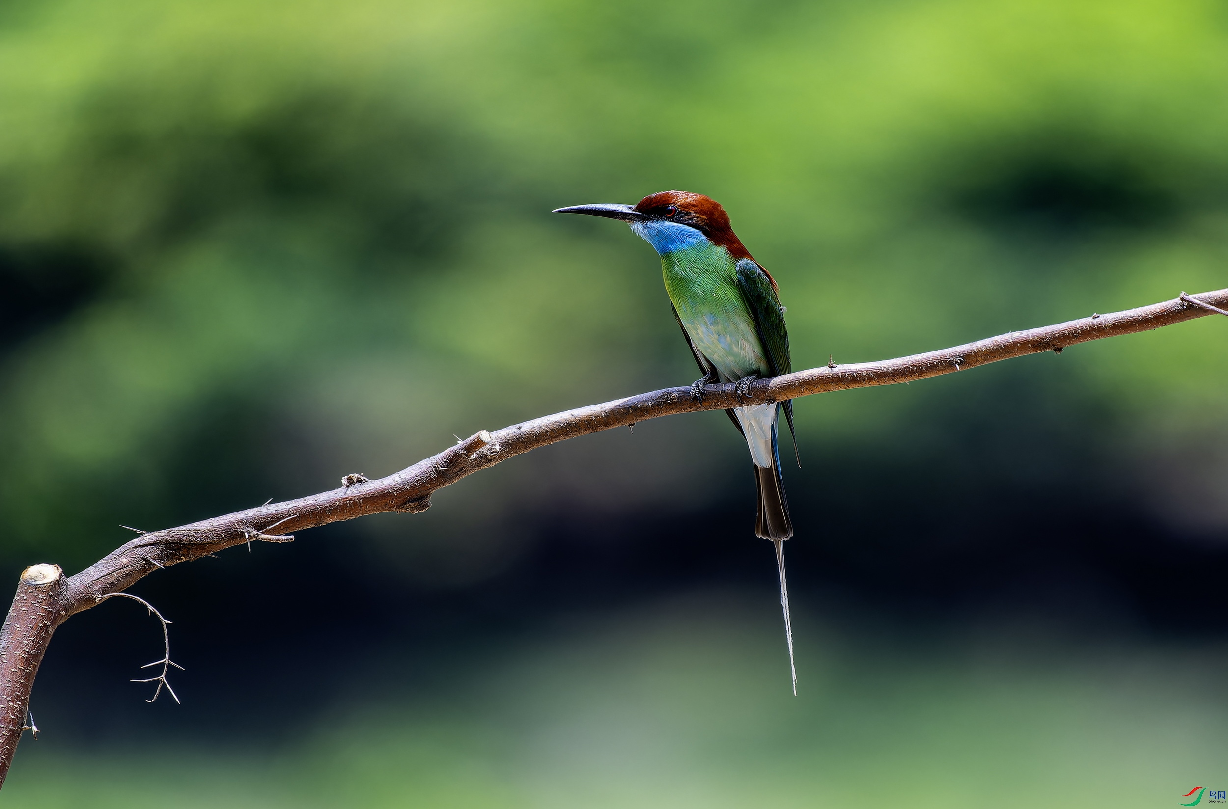 �����仢 (1)-1.jpg