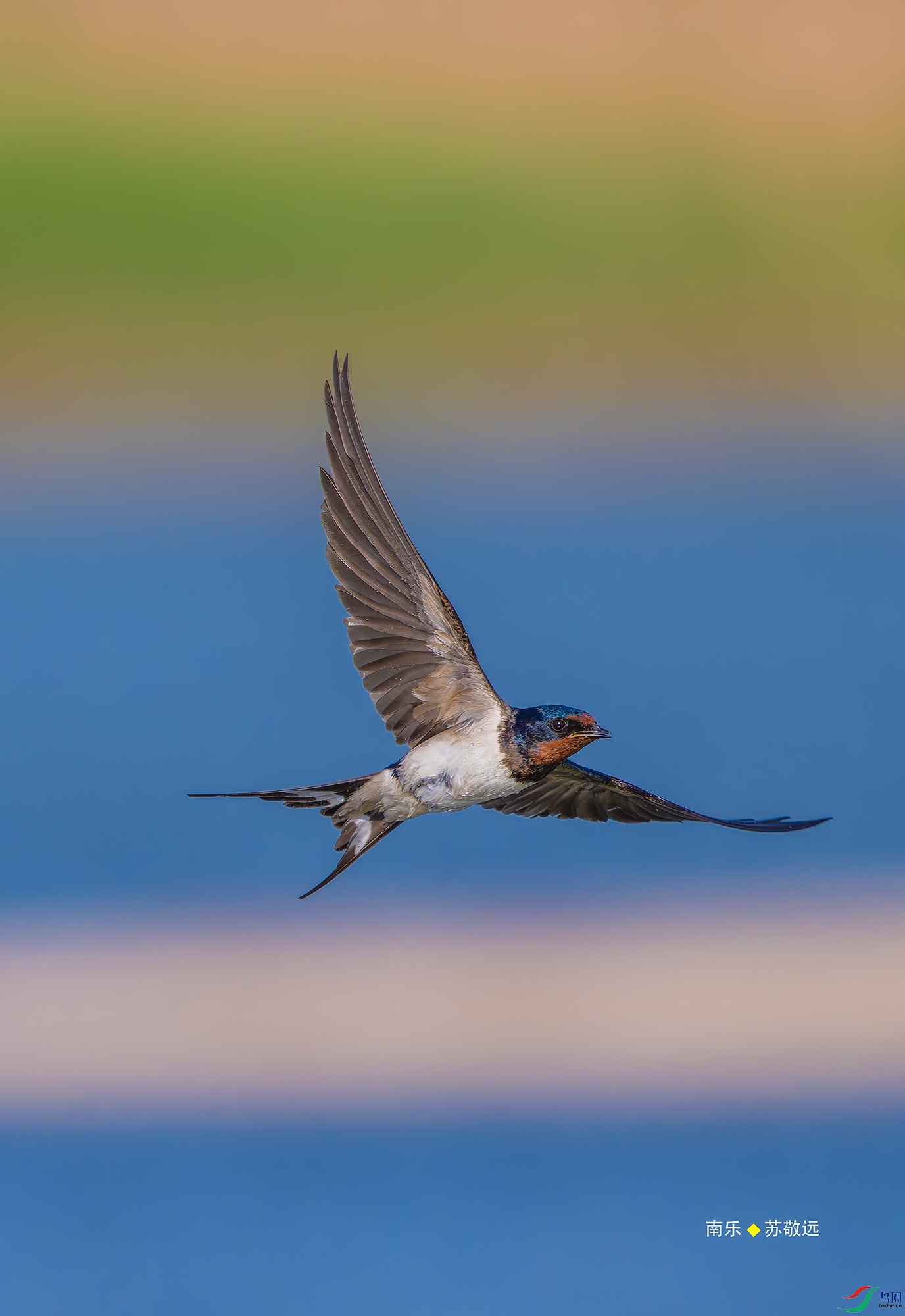 20250511-_DSC6406С.jpg