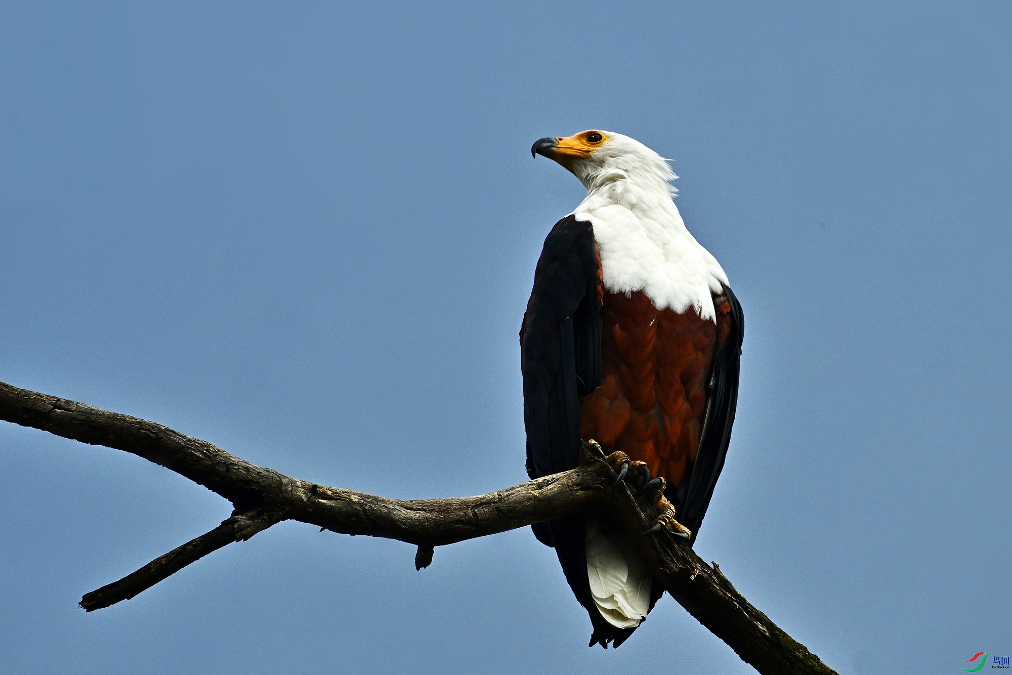 DSC_6235_.jpg
